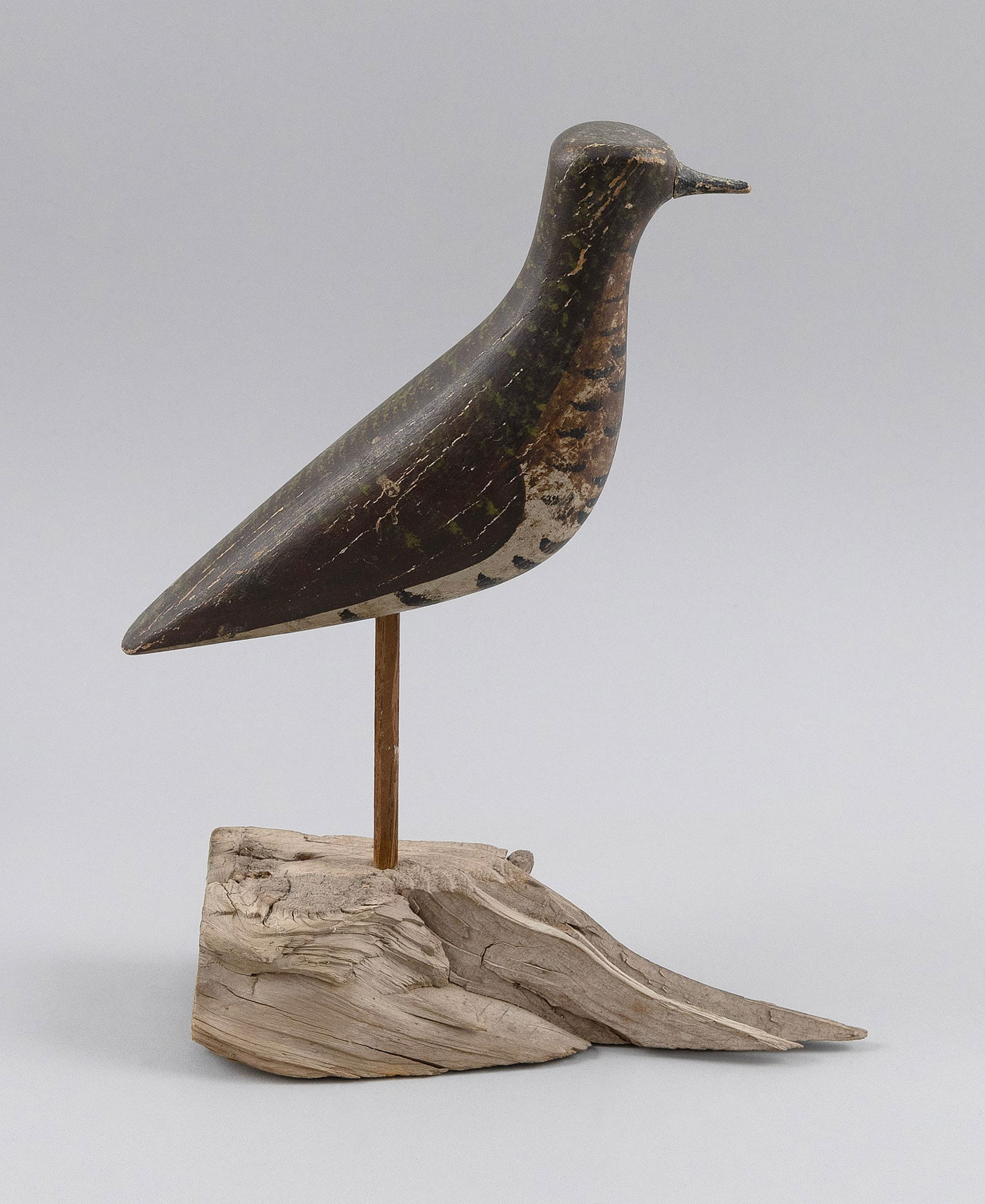 FRANK ADAMS PLOVER DECOY West Tisbury, Martha's Vineyard, 1871-1944 Length 9".: FRANK ADAMS PLOVER DECOYWest Tisbury, Martha's Vineyard, 1871-1944Circa 1910. Mounted on a driftwood base.Length 9".