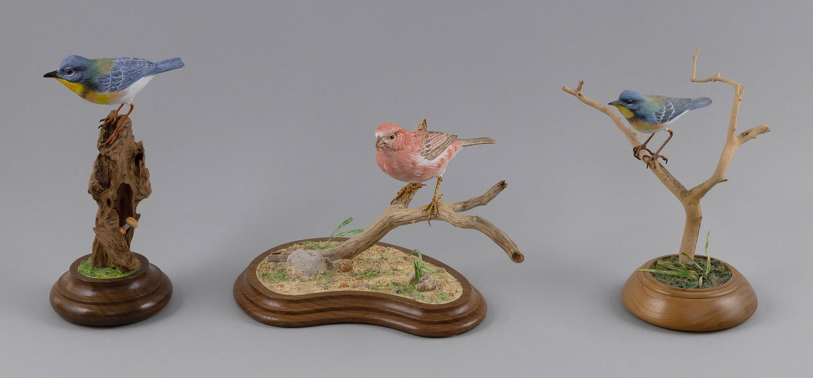 THREE ROSCOE A. CONDON LIFE-SIZE SONGBIRDS Fitchburg, Massachusetts, 1935-2025 Heights 7", 7.5" and: THREE ROSCOE A. CONDON LIFE-SIZE SONGBIRDSFitchburg, Massachusetts, 1935-2025A purple finch and two parulas. Mounted on driftwood branches atop simulated woodland bases. Signed on undersides.Heights 7