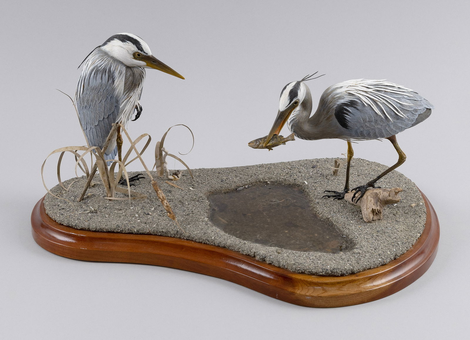 PAIR OF ROSCOE A. CONDON MINIATURE GREAT BLUE HERONS Fitchburg, Massachusetts, 1935-2025 Height 9".: PAIR OF ROSCOE A. CONDON MINIATURE GREAT BLUE HERONSFitchburg, Massachusetts, 1935-2025One with a fish in its bill. Mounted together on a simulated marsh base.Height 9". Base 17" x 9".
