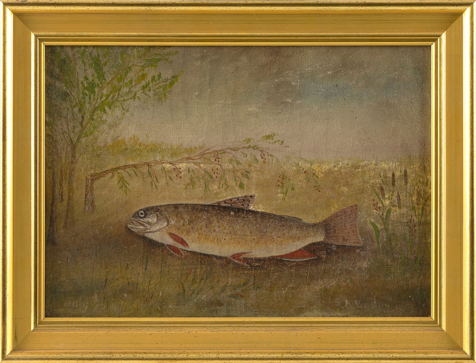PAINTING OF A TROUT 19th Century Oil on canvas, 10" x 14". Framed 12" x 16".: PAINTING OF A TROUT19th CenturySigned lower right "S.A. Bailey".Oil on canvas, 10" x 14". Framed 12" x 16".