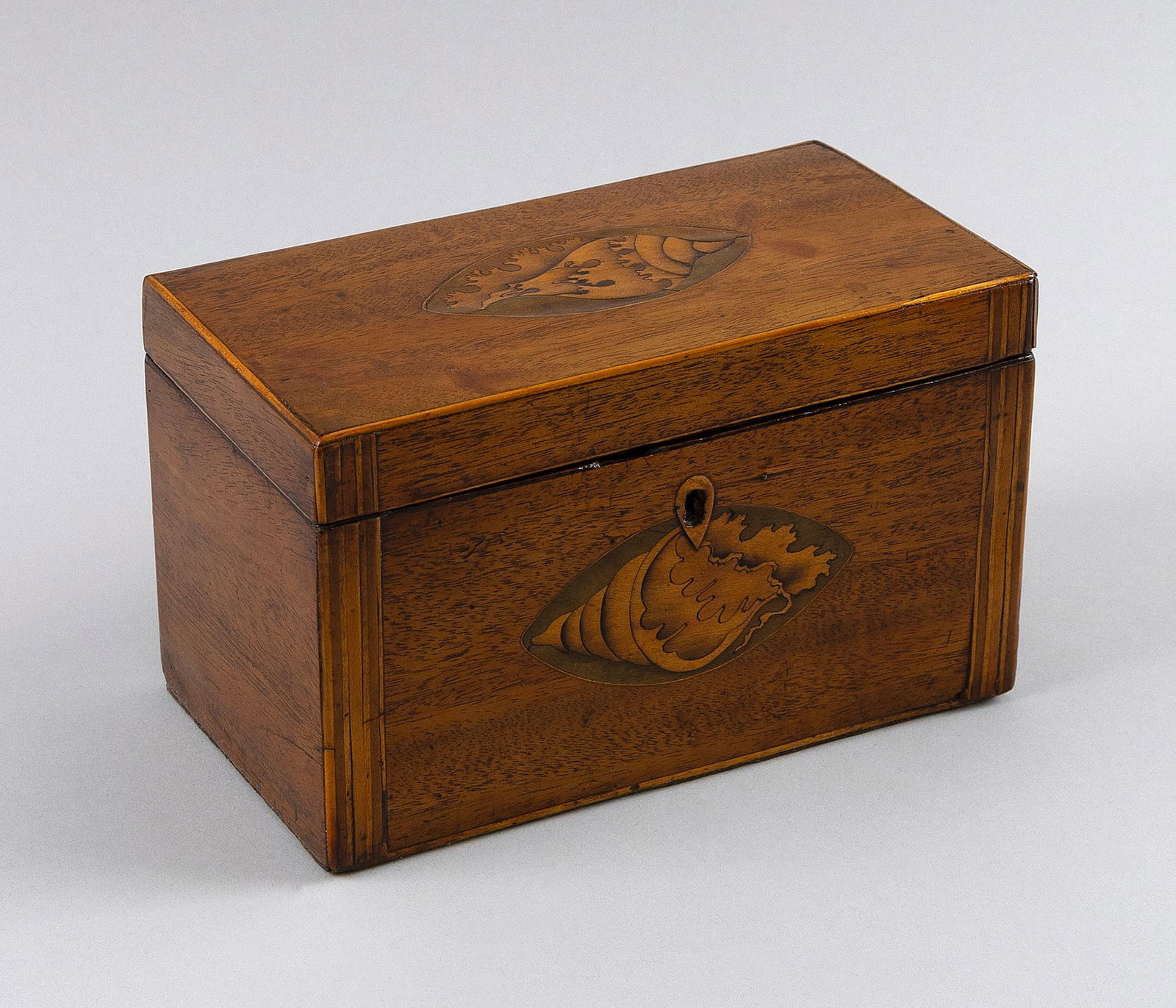ENGLISH MAHOGANY TEA CADDY 19th Century Height 4.75". Width 7". Depth 4".: ENGLISH MAHOGANY TEA CADDY19th CenturyFruitwood conch shell inlay on lid and front.Height 4.75". Width 7". Depth 4".
