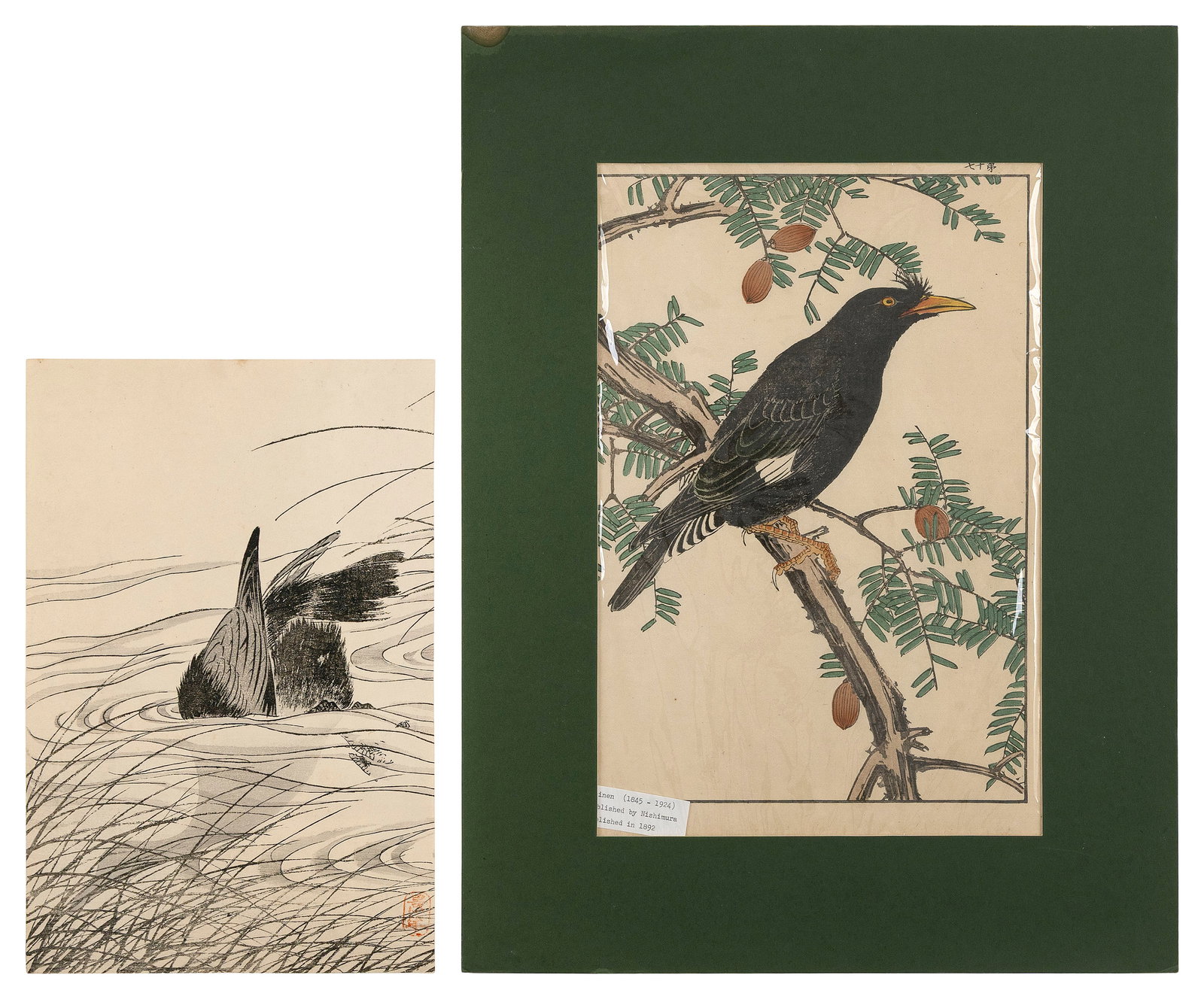 Two works featuring birds:: IMAO KEINEN Japan 1845-1924 Two works featuring birds: 1) Crested Myrna. Published by Nishimara, 1892. 2) Crested Cormorant. Printed in 1897. Woodblock prints, oban tate-e, 14.5" x 10" and 12" x 8".