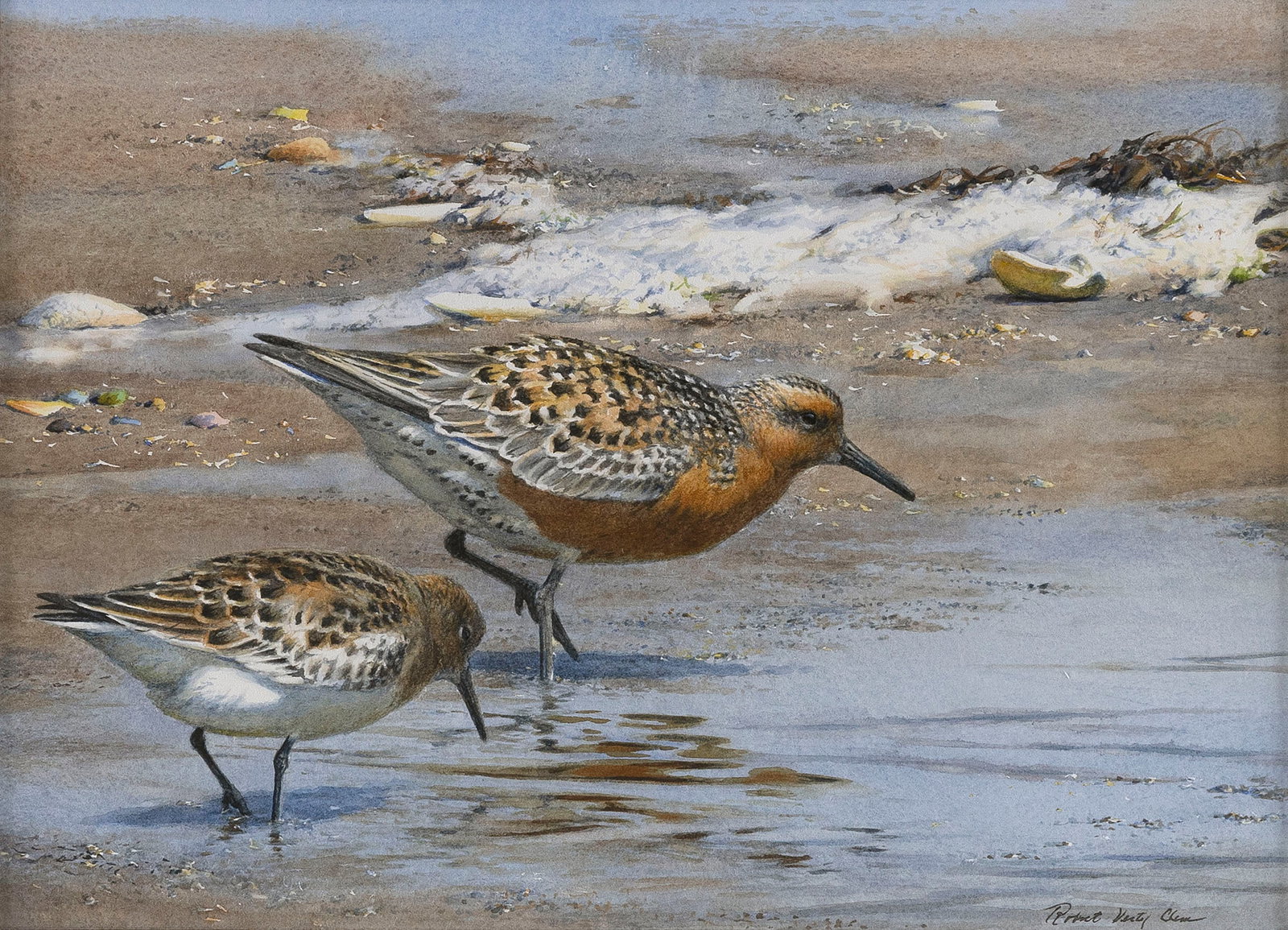 ROBERT VERITY CLEM (Massachusetts/Connecticut, 1933-2010), Red knots., Watercolor and gouache on (1 of 3)