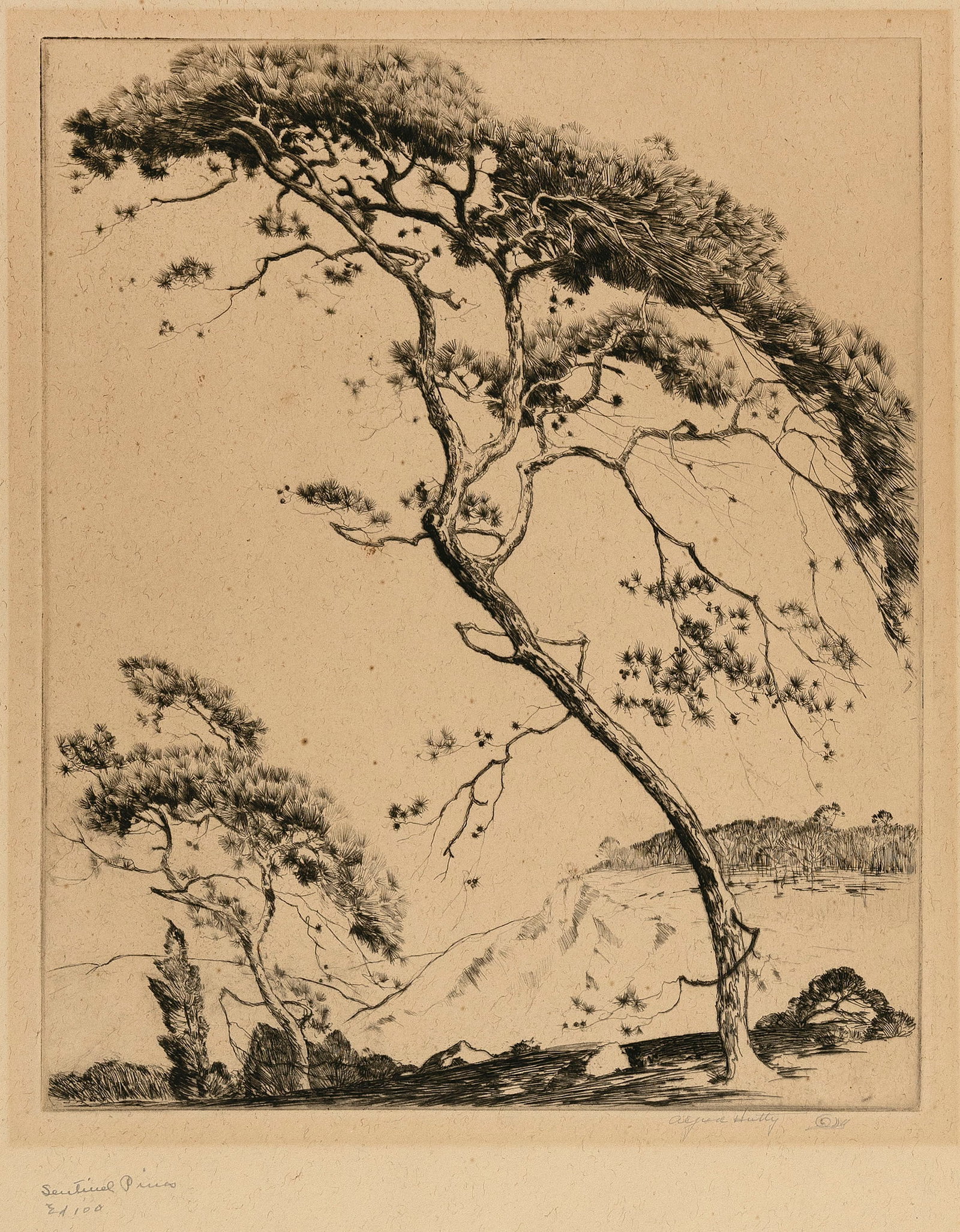 ALFRED HUTTY (New York/South Carolina/Michigan, 1877-1954), "Sentinel Pines", 1936., Etching, 10.5" (1 of 2)