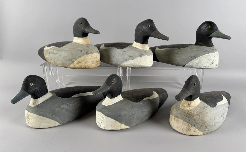 SIX MAINE GOLDENEYE HEN DECOYS Mid-20th Century Lengths 14". (1 of 6)