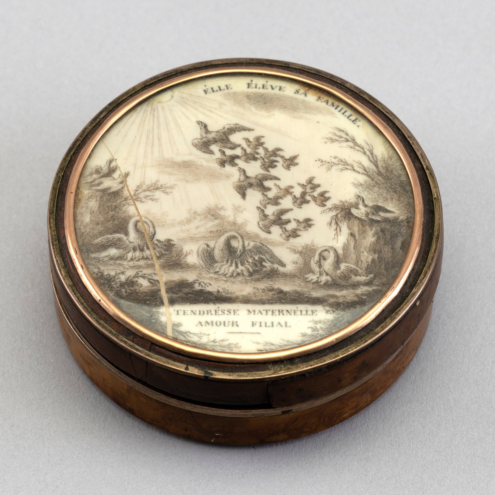 SHELLWORK BOX 19th Century Diameter 3". - 2