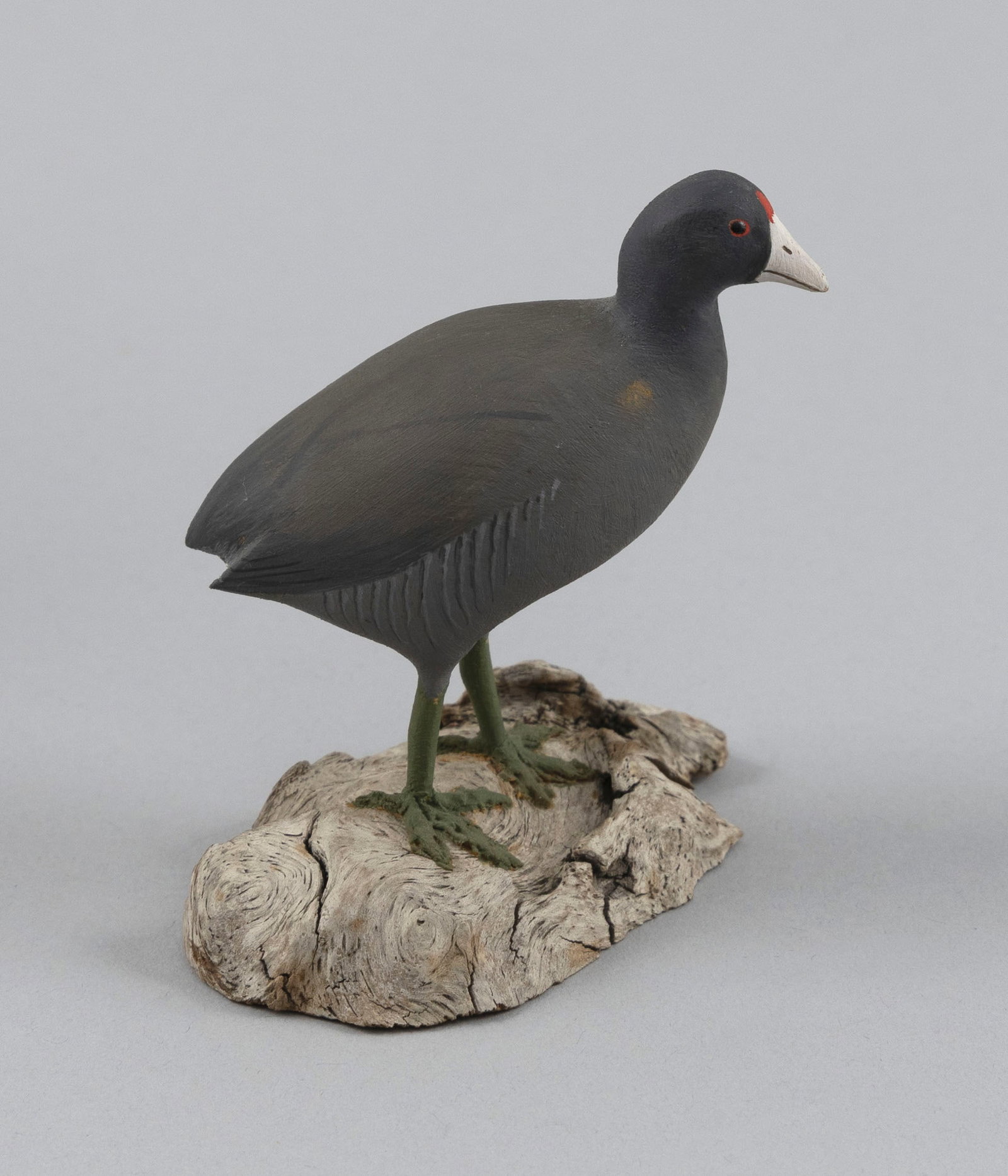 HAROLD GIBBS MINIATURE FRESH WATER COOT CARVING Barrington, Rhode Island, 1866-1970 Height 3". (1 of 5)