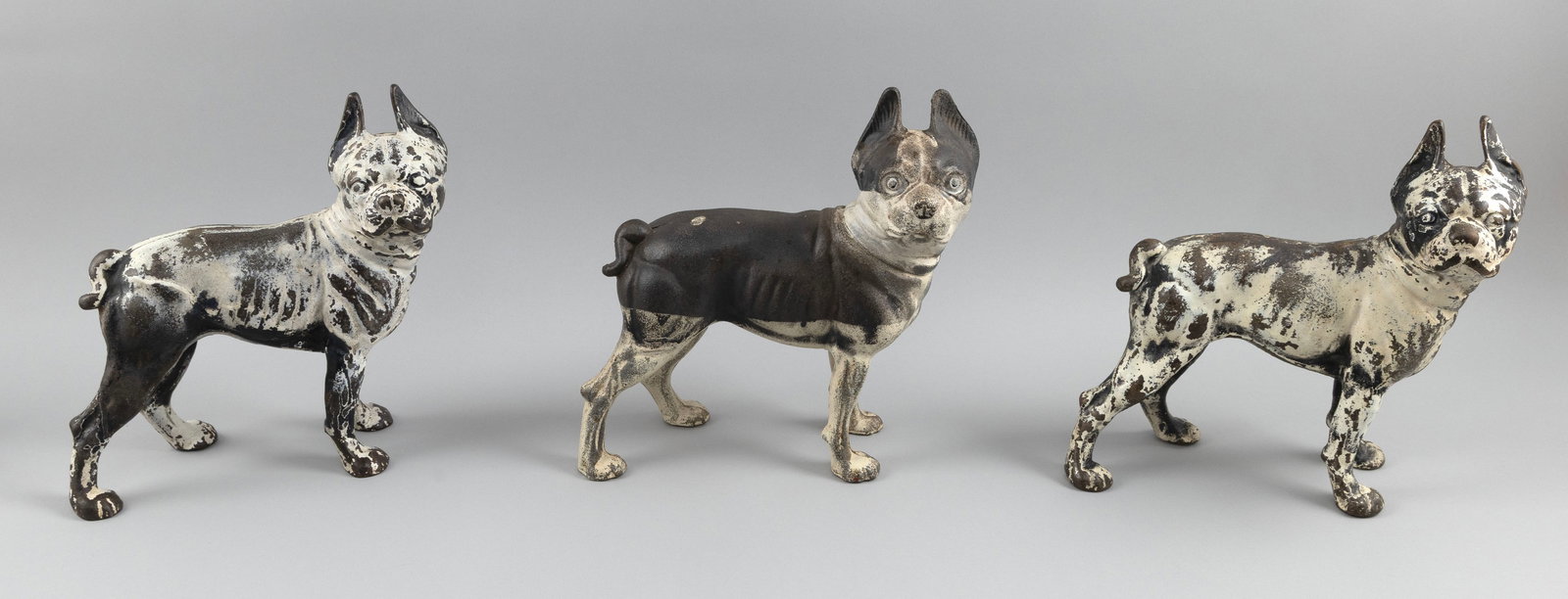 THREE CAST IRON BOSTON TERRIER DOORSTOPS Early 20th Century Heights 10". Lengths 10". (1 of 5)