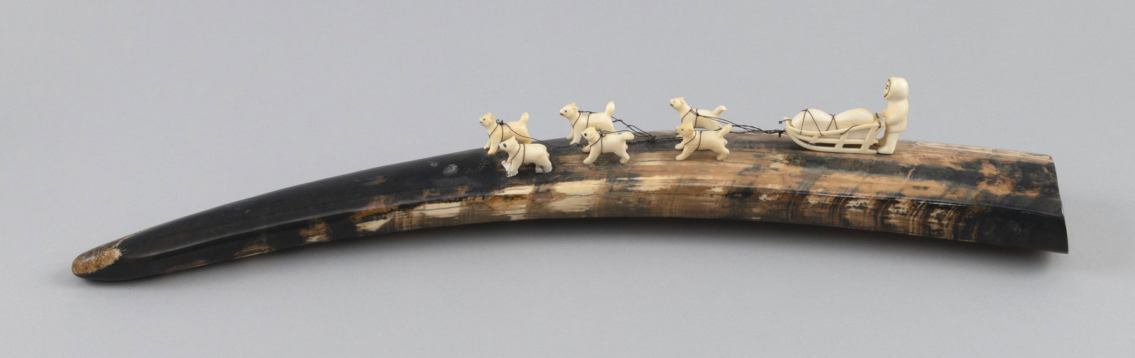 ESKIMO CARVED IVORY SLED TEAM MOUNTED ON A PETRIFIED WALRUS TUSK First Half of the 20th Century (1 of 5)