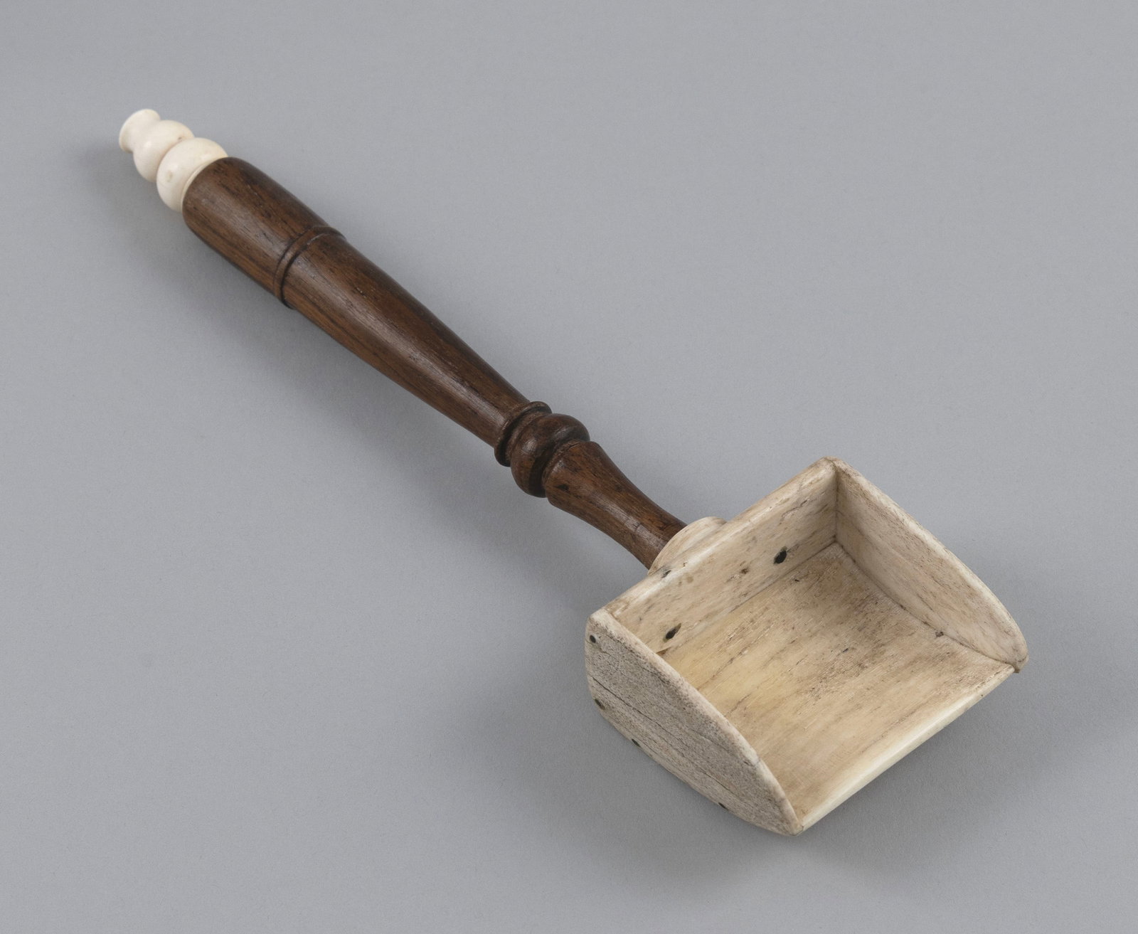 WOOD AND WHALEBONE CRUMB CATCHER 19th Century Length 9". (1 of 3)