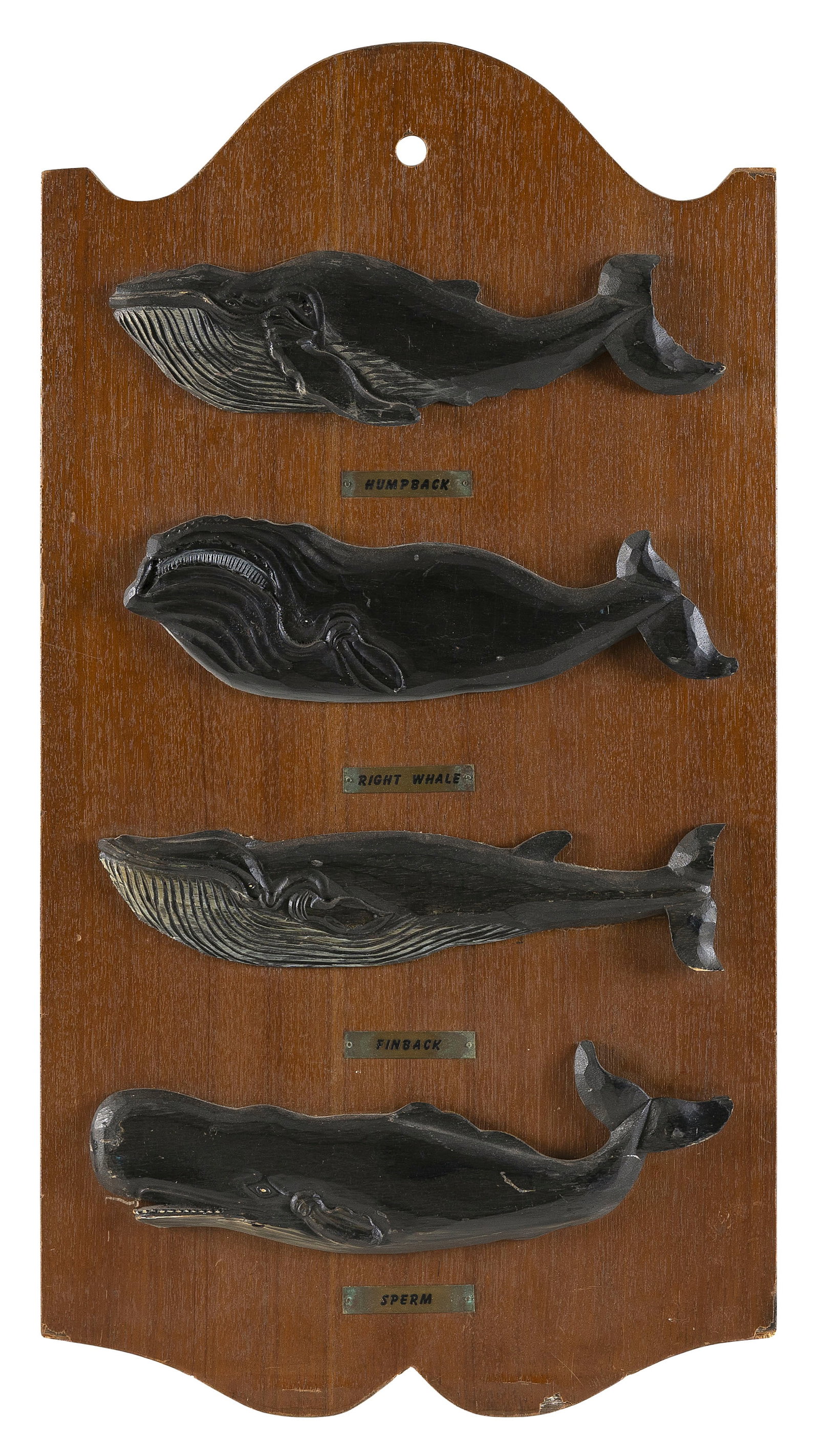 WHALE PLAQUE DISPLAY BOARD 20th Century Board 27" x 14". (1 of 2)