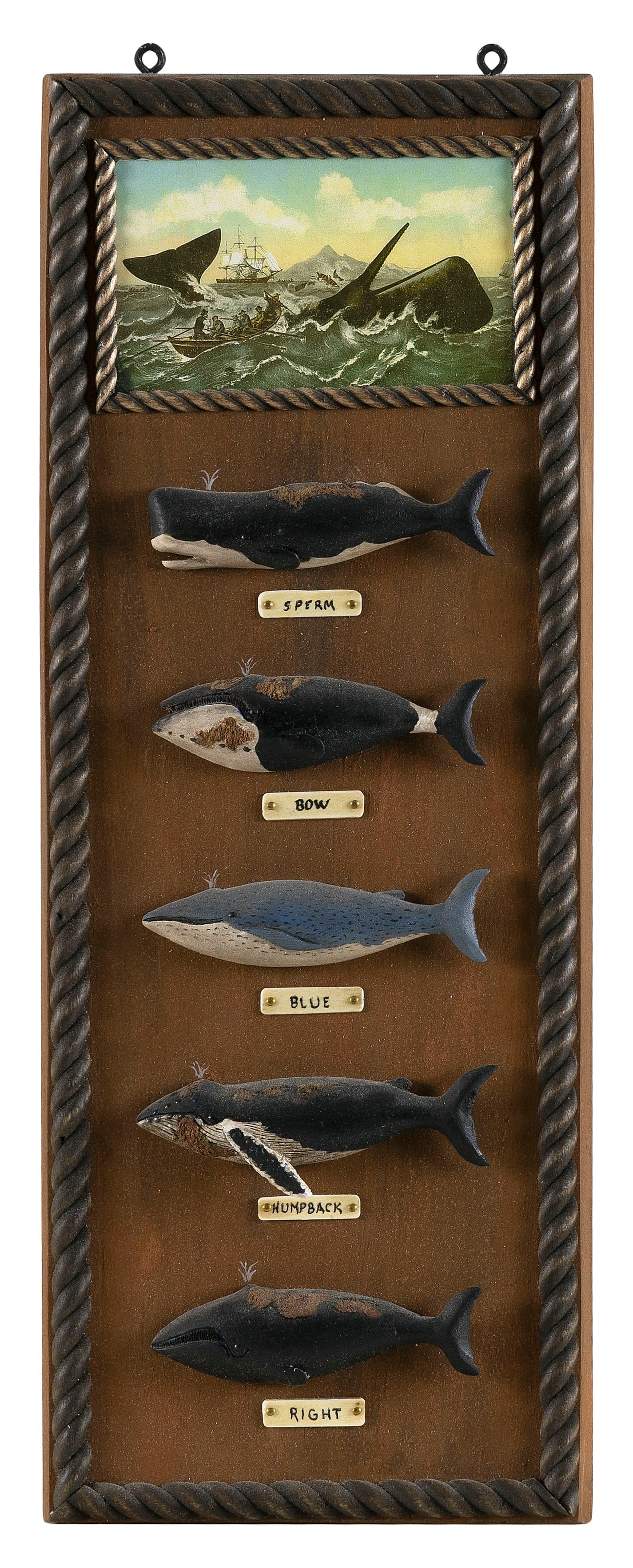 ROGER MITCHELL WHALE PLAQUE DISPLAY BOARD Massachusetts, Contemporary Board 18" x 7". (1 of 2)