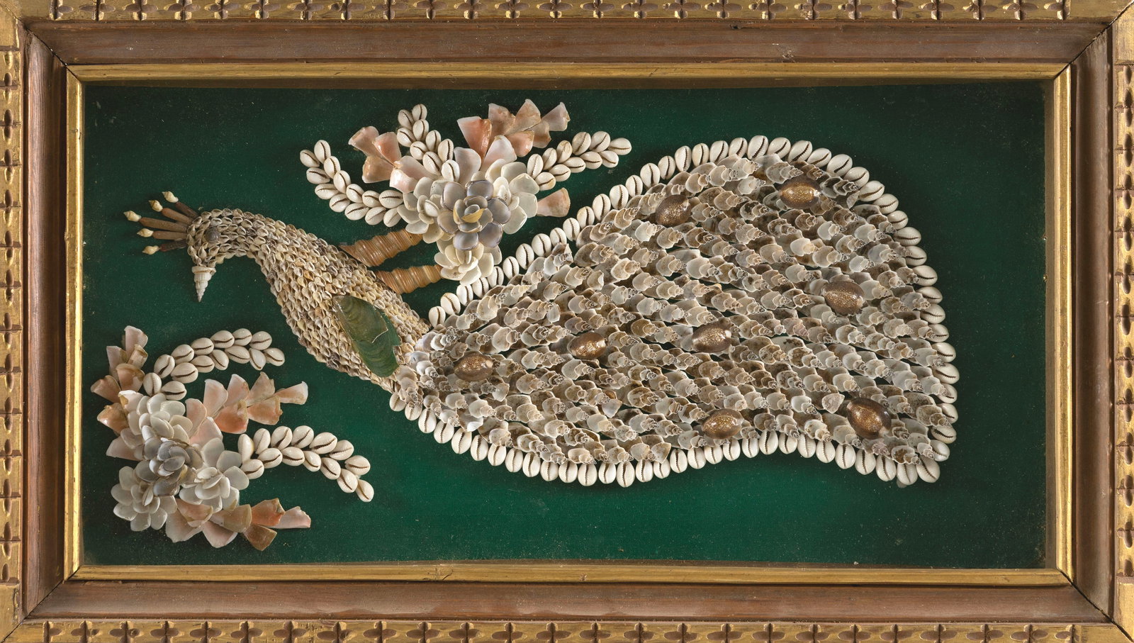 SAILOR'S VALENTINE 20th Century 27.5" x 15".: SAILOR'S VALENTINE 20th Century Composed of multicolored shells to depict a peacock and flower blossoms. Housed in a decorative frame. 27.5" x 15".