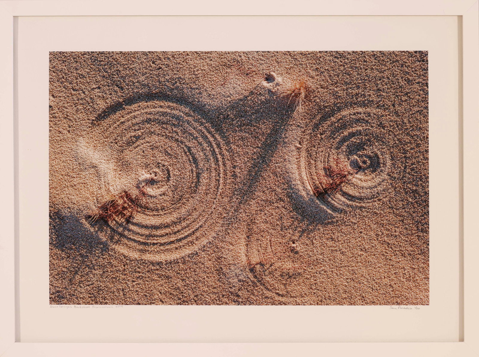 JANE PARADISE (Massachusetts, Contemporary), Dune Designs Backshore Provincetown., Archival pigment: JANE PARADISE Massachusetts, Contemporary Dune Designs Backshore Provincetown. Signed, titled and dated 2015 lower margin. Archival pigment print, image 12" x 18". Sheet 17" x 22". Framed 17.5" x 23".