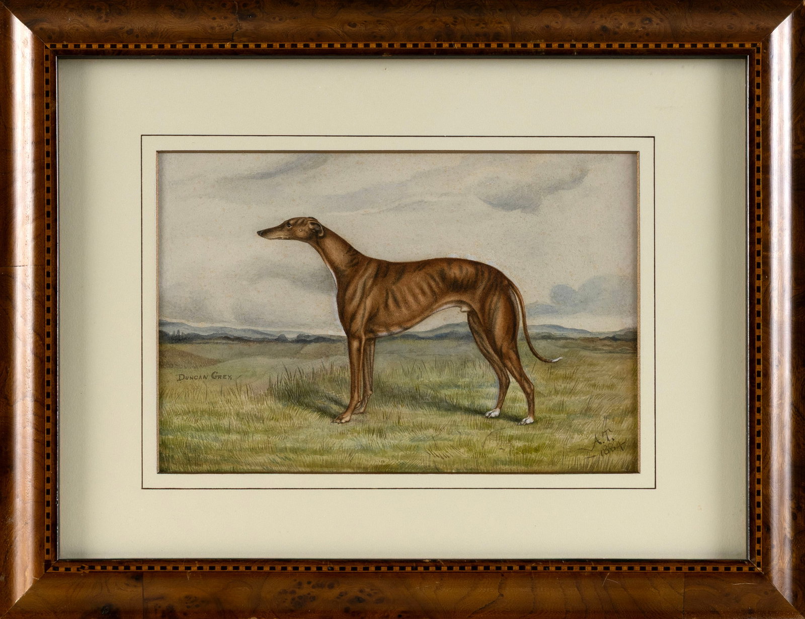 BRITISH SCHOOL (Late 19th Century,), Portrait of the greyhound "Duncan Grey"., Watercolor on paper, (1 of 2)