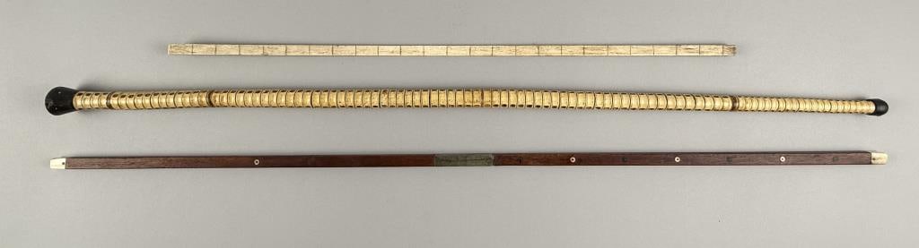 SHARK VERTEBRAE CANE AND TWO MEASURING STICKS 19th Century (1 of 1)