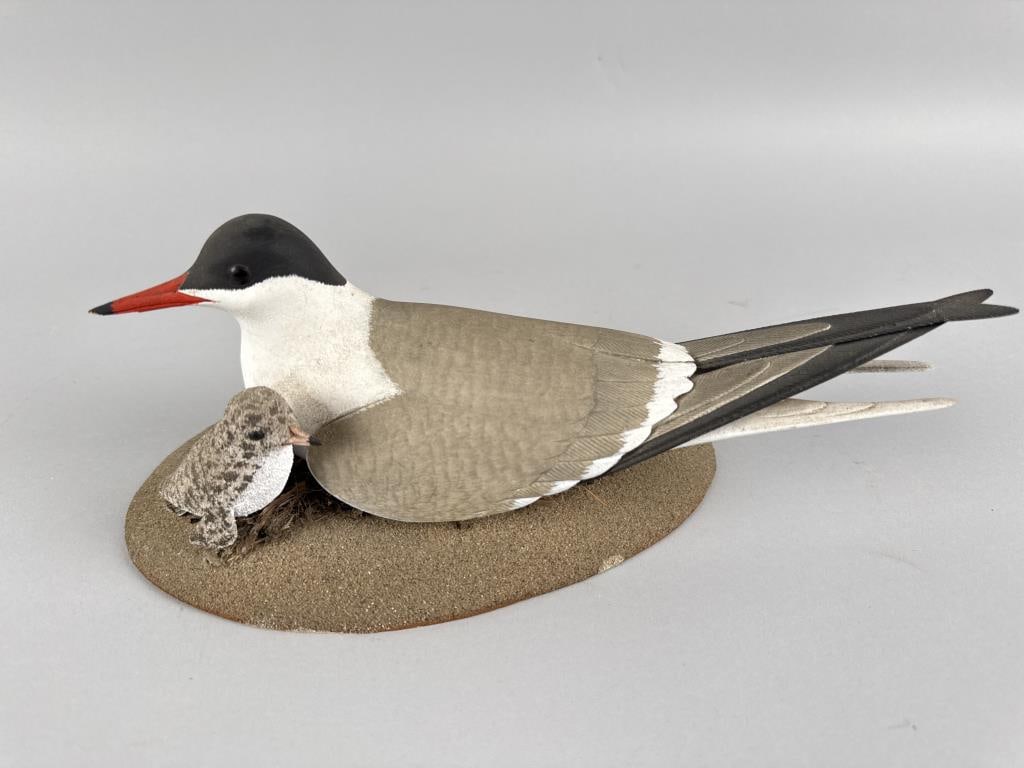 STAN SPARRE TERN AND CHICK CARVING East Falmouth, Massachusetts, 1923-2011 Length 11". (1 of 5)