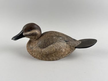 TOM NEWELL RUDDY DUCK DRAKE DECOY Washington, Contemporary Length 12".