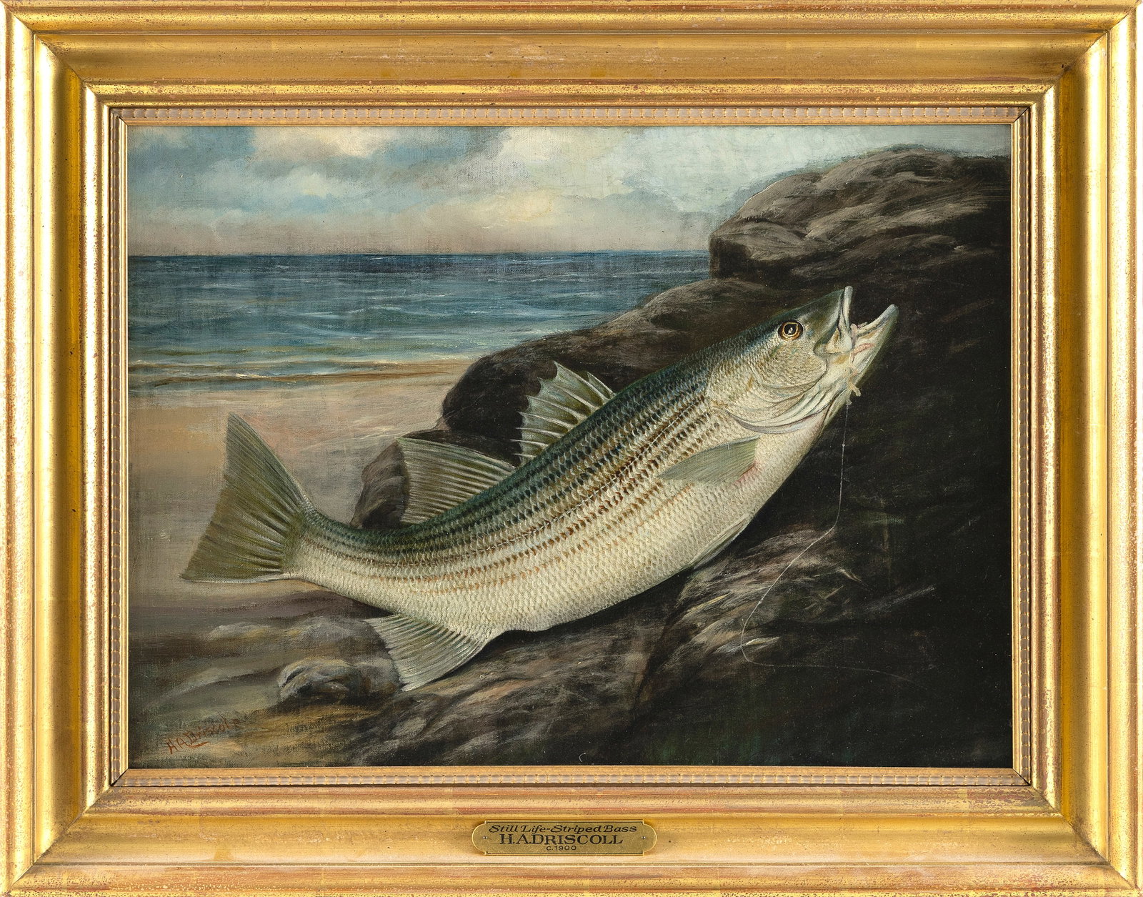 HARRY A. (H.A.) DRISCOLE (New York, 1861-1923), "Striped Bass"., Oil on canvas, 16" x 23". Framed (1 of 2)