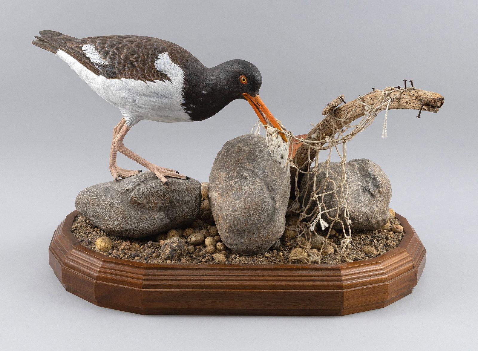 ROSCOE A. CONDON OYSTER CATCHER CARVING Fitchburg, Massachusetts, 1935-2025 Height 14". Width 23". (1 of 5)