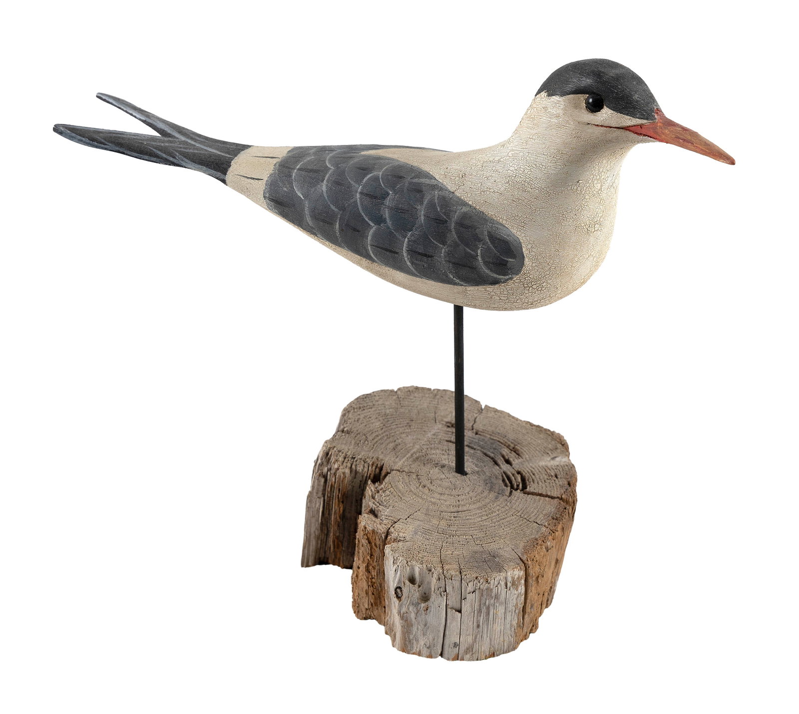 LIFE-SIZE CARVING OF A COMMON TERN 20th Century Total height 11". (1 of 3)