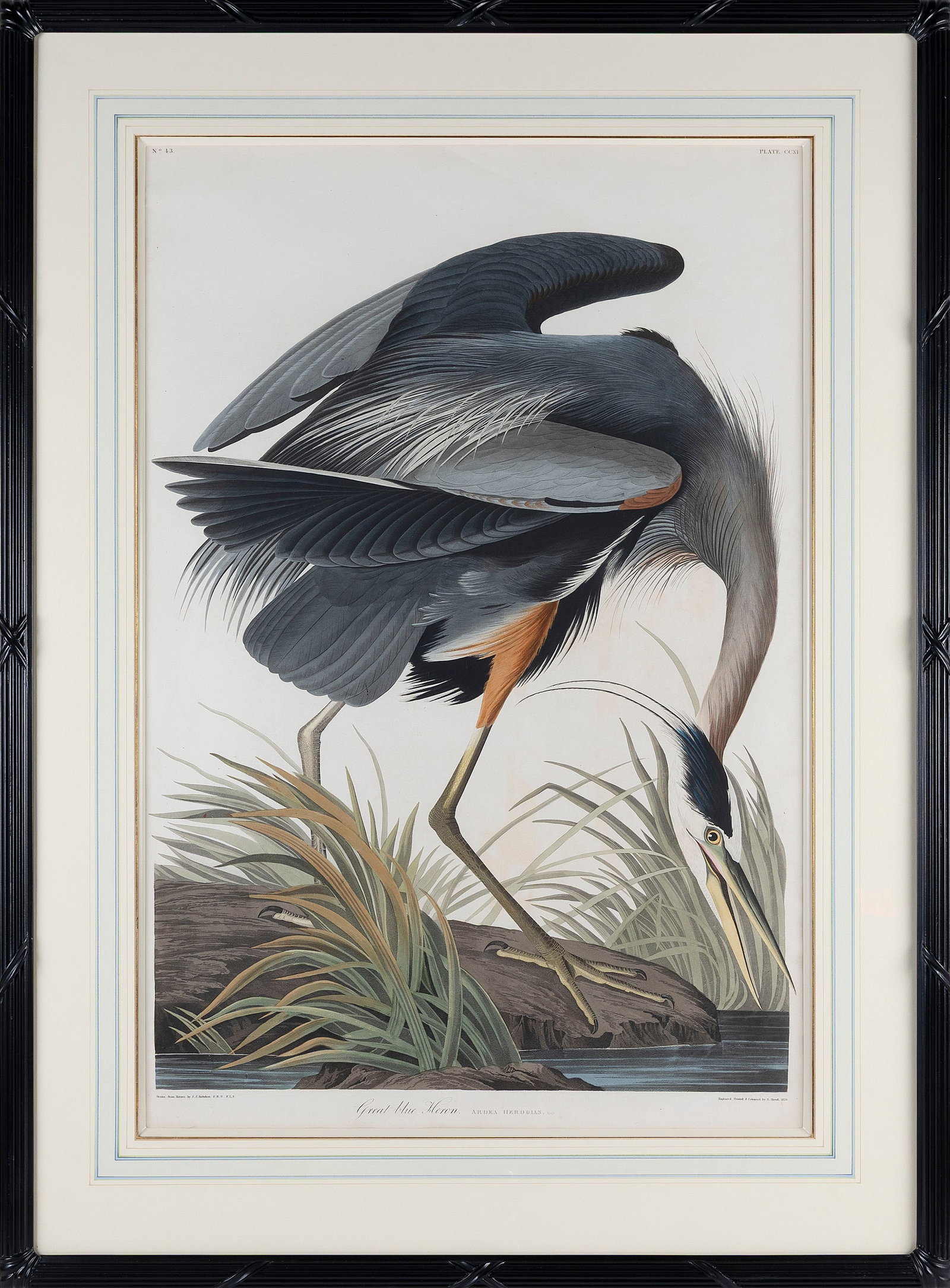 AFTER JOHN JAMES LAFOREST AUDUBON (New York/France, 1785-1851), "Great Blue Heron", 1834., (1 of 1)