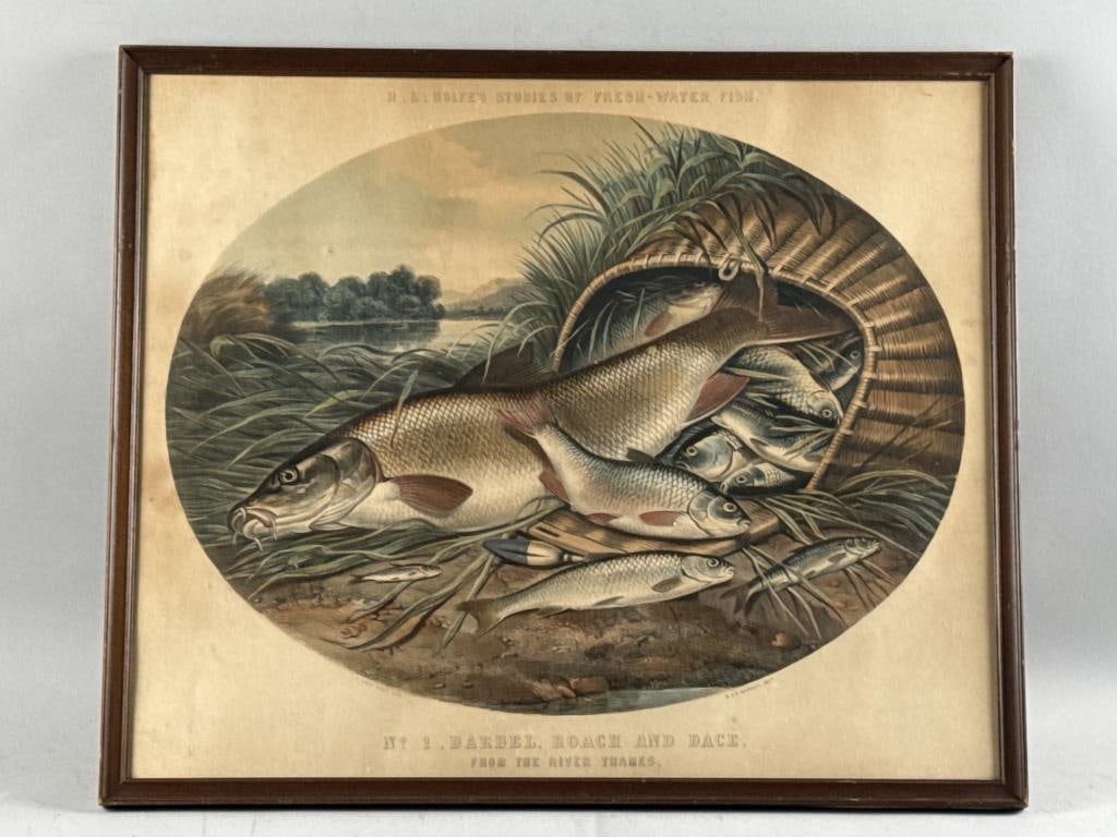 CHROMOLITHOGRAPH OF A FISHING CREEL England, 19th Century 19.5" x 23.5". Framed 21" x 25".: CHROMOLITHOGRAPH OF A FISHING CREEL England, 19th Century "No. 1 Barrel, Roach and Dace from the Thames River", from H.L. Rolfe's Studies of Freshwater Fish. J. West Giles, lithographer. M. & H. Hanha