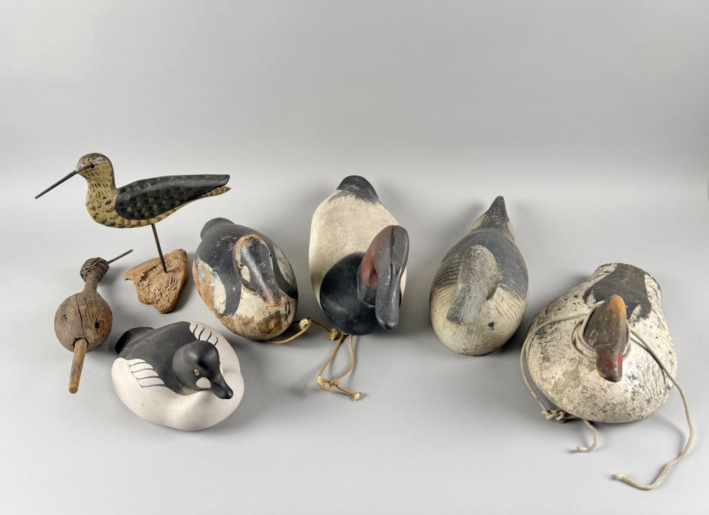 SEVEN DECOYS 20th Century Lengths from 9" to 17".: SEVEN DECOYS 20th Century A Mason Decoy Factory goldeneye drake, a factory pintail drake, a Maine goldeneye drake, a primitive shorebird decoy, a James Currier canvasback drake, a James Butler goldene