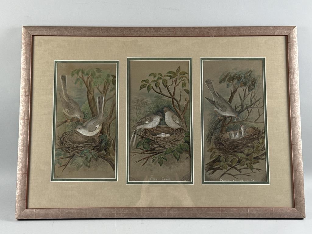 HUERFANO COUNTY COLORADO, WATERCOLOR AND GOUACHE NESTING BIRD TRIPTYCH 19th Century Framed 22" x (1 of 2)