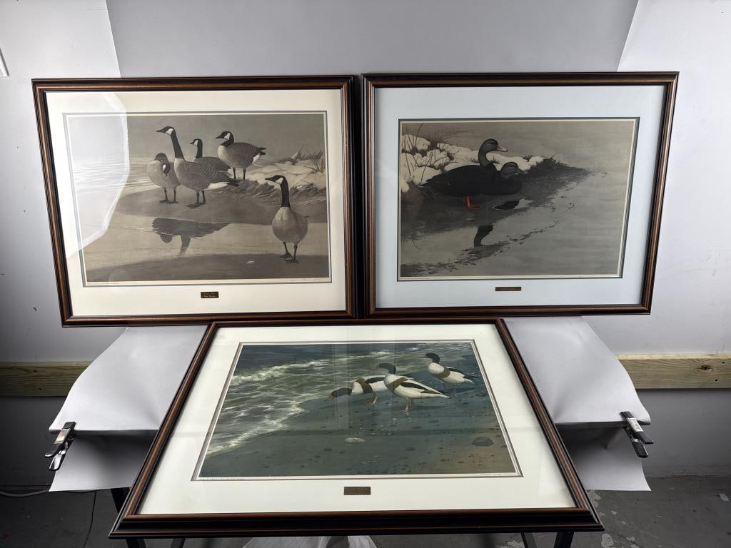 ROBERT VERITY CLEM (Massachusetts/Connecticut, 1933-2010), "Canada Geese", "Common Shelducks" and: ROBERT VERITY CLEM Massachusetts/Connecticut, 1933-2010 "Canada Geese", "Common Shelducks" and "Black Ducks". All signed in pencil lower right. Prints, 17.5" x 25". Framed.