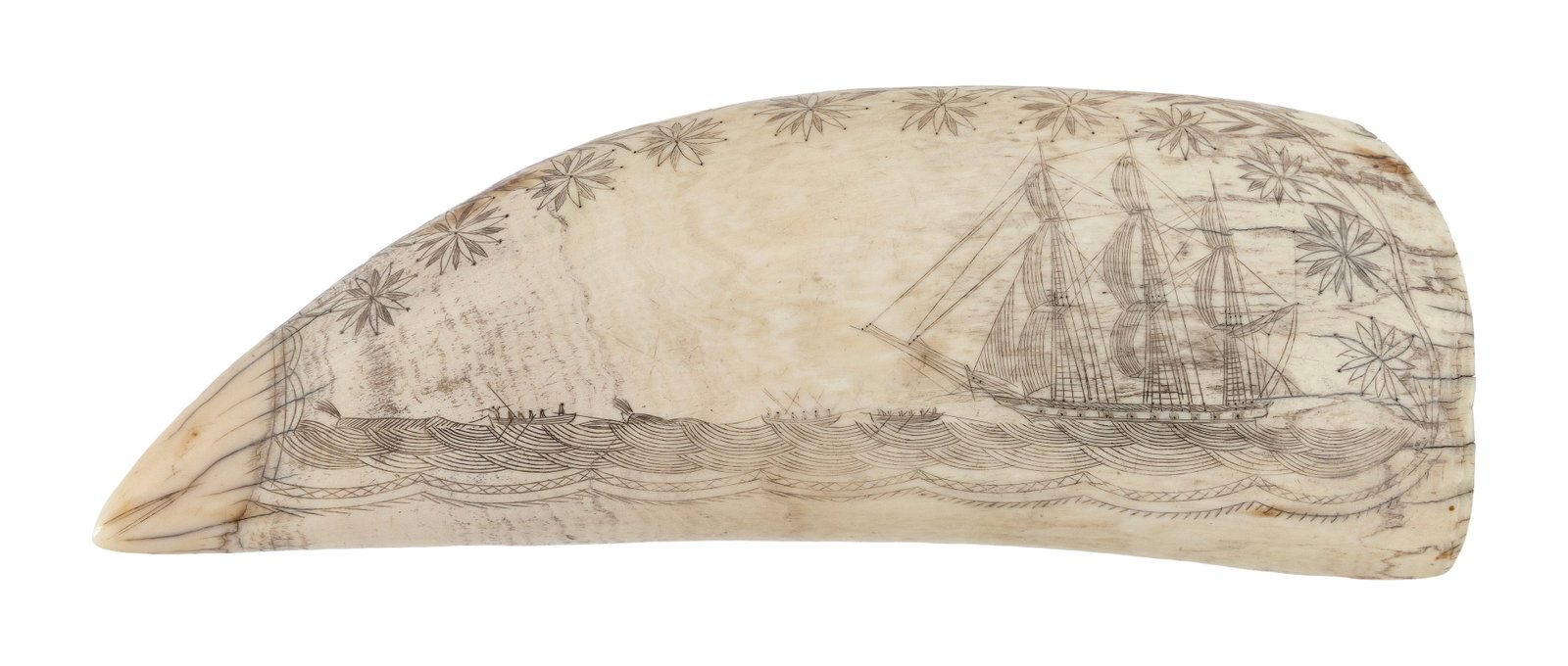 SCRIMSHAW WHALE'S TOOTH WITH WHALING SCENE 19th Century Length 8". (1 of 2)