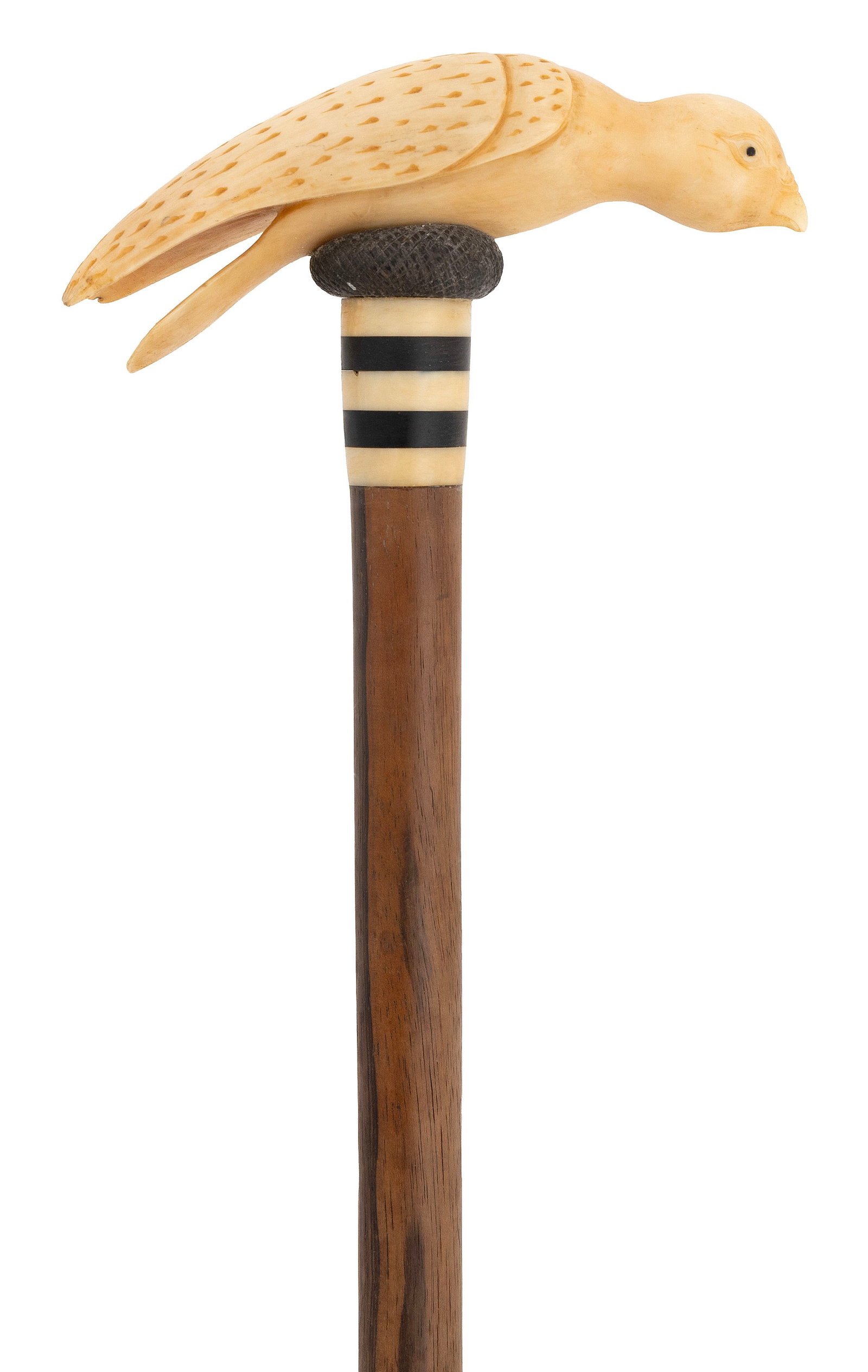 WHALE IVORY BIRD CANE 19th Century Length 35.5".: WHALE IVORY BIRD CANE 19th Century Whale ivory handle carved in the form of a feathery bird with inset eyes. Perched on a baleen "nest". Whale ivory and baleen banded throat. Island wood shaft with a 