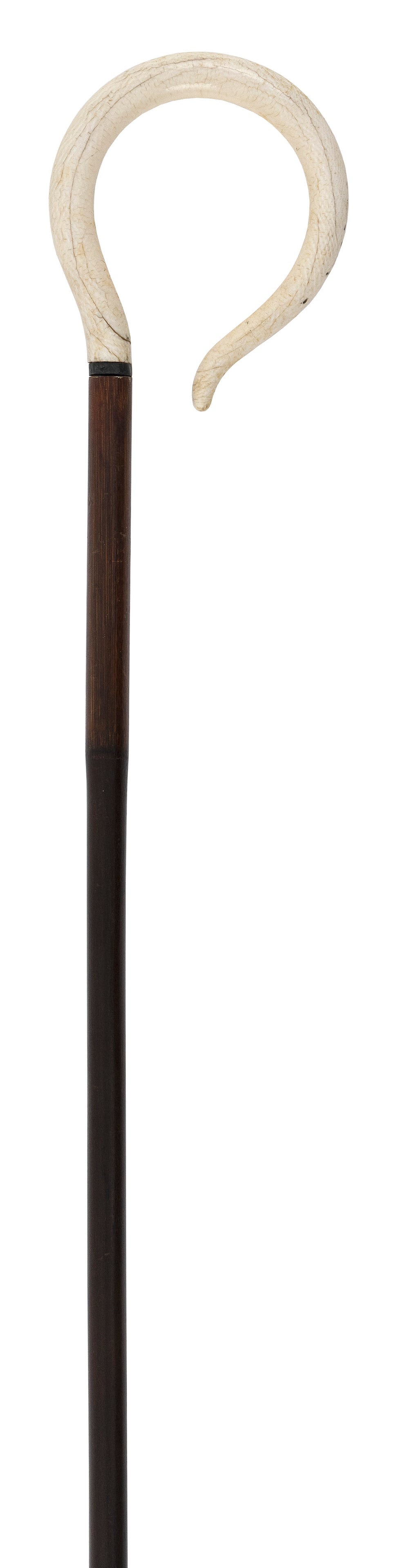 LADY'S CANE 19th Century Length 36.75". (1 of 1)