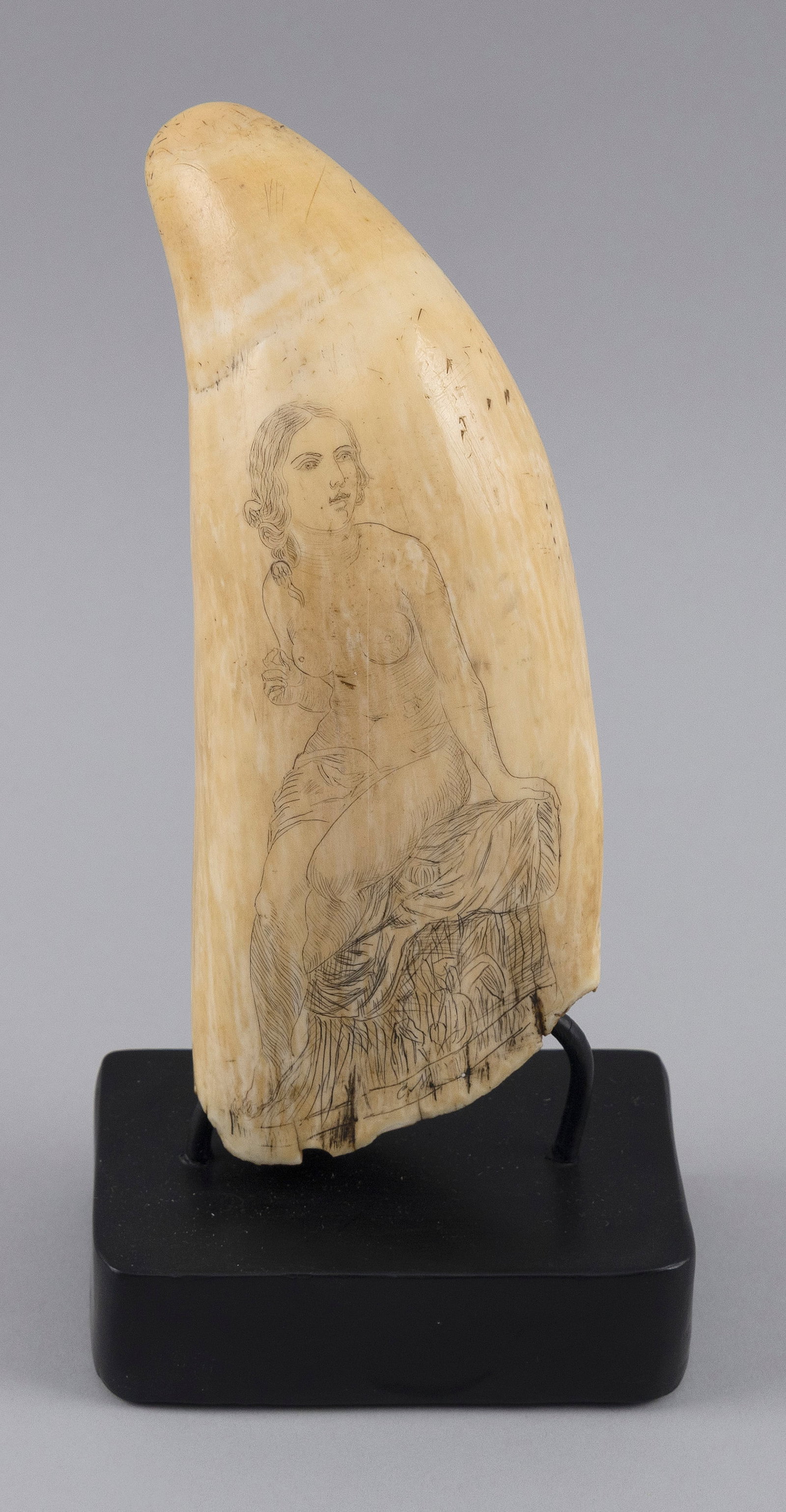 SCRIMSHAW WHALE'S TOOTH WITH FIGURAL PORTRAITS 19th Century Length 7.25". With contemporary stand.: SCRIMSHAW WHALE'S TOOTH WITH FIGURAL PORTRAITS 19th Century Obverse depicts a partially clad woman seated on a rock, probably Venus or a siren from Homer's "Odyssey". Reverse depicts a female peasant 