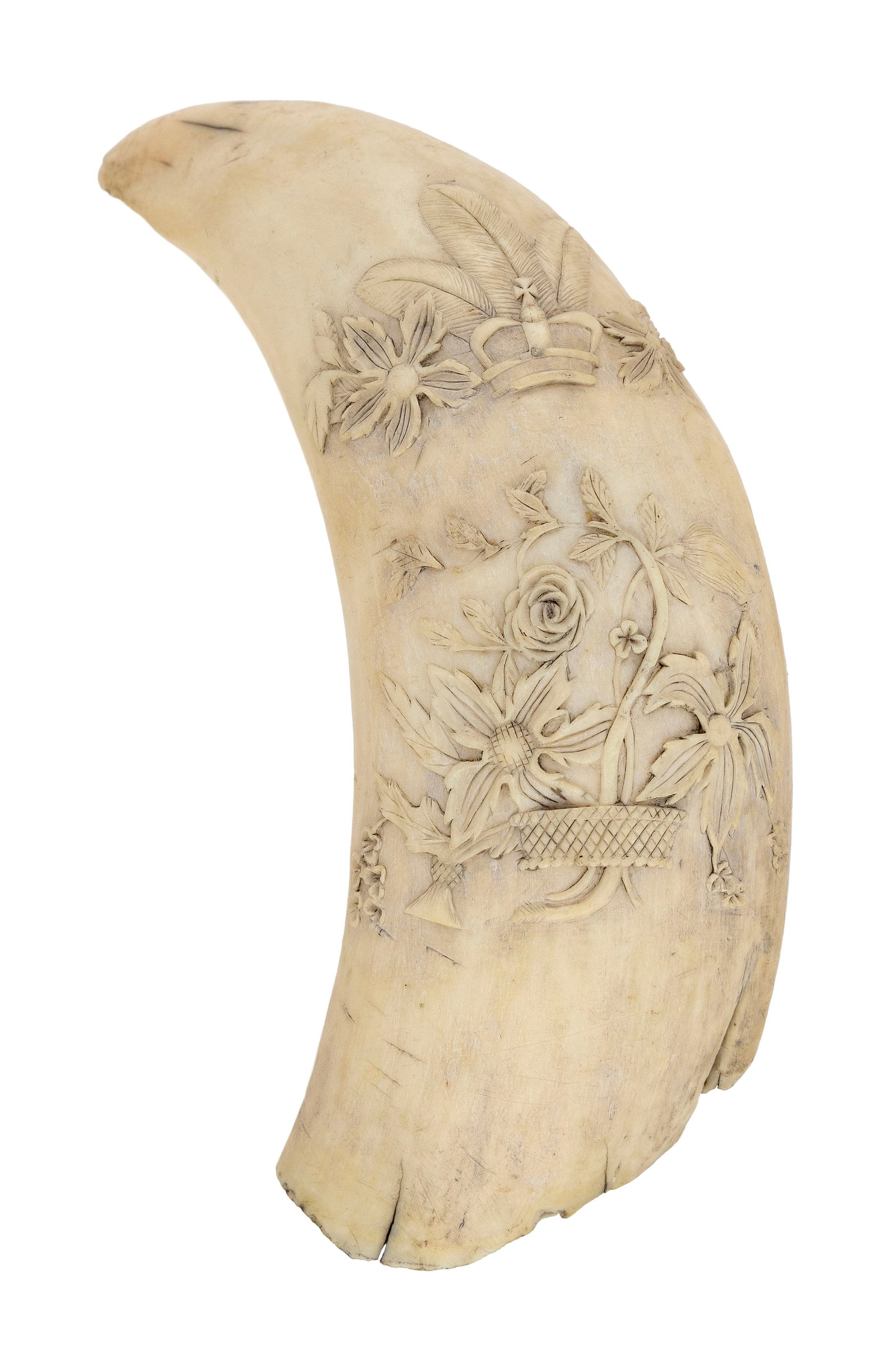 RELIEF-CARVED WHALE'S TOOTH England, 19th Century Length 7". (1 of 2)