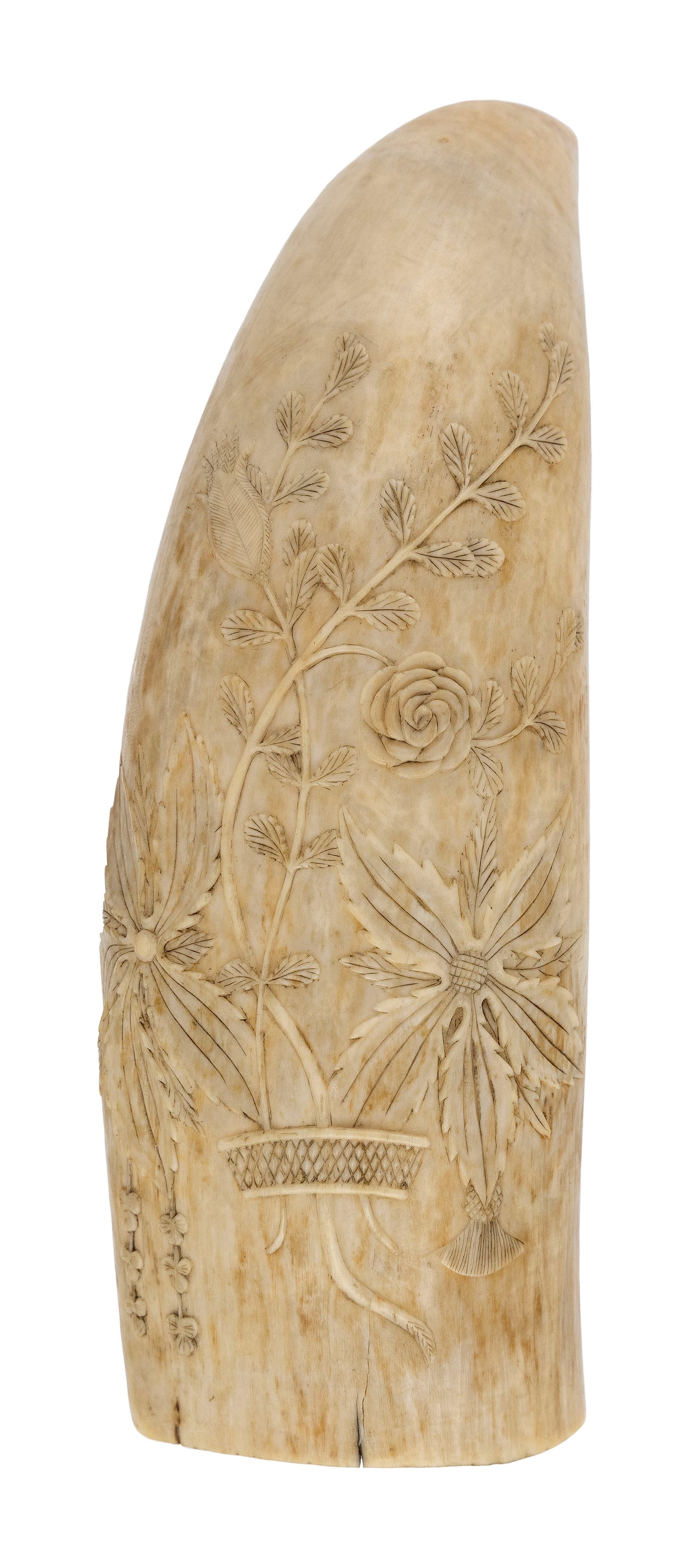 RELIEF-CARVED WHALE'S TOOTH Mid-19th Century Length 6.25".: RELIEF-CARVED WHALE'S TOOTH Mid-19th Century Depicts flowers and foliage in a woven basket. Exceptionally detailed workmanship. Length 6.25". Provenance: The Thomas Mittler Scrimshaw Collection. E