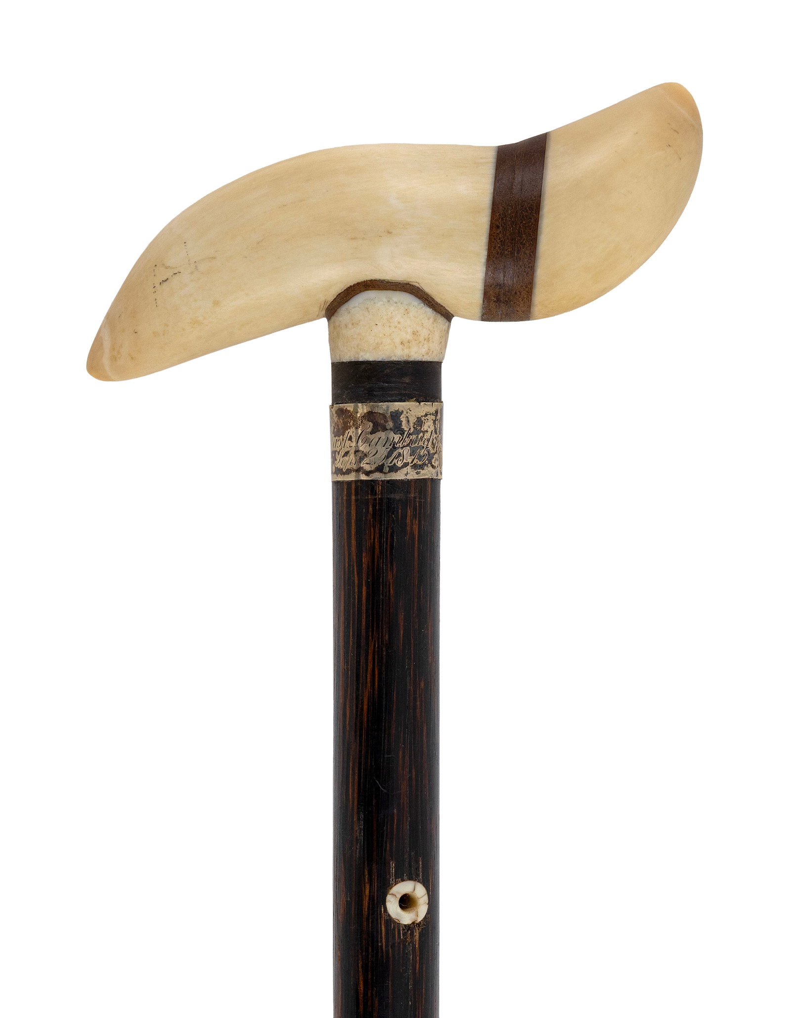 WHALE'S TOOTH CANE 19th Century Length 34.75".: WHALE'S TOOTH CANE 19th Century S-form handle constructed from two whale's teeth and a wood joint. Tropical wood shaft with silver collar and with metal ferrule. Length 34.75".