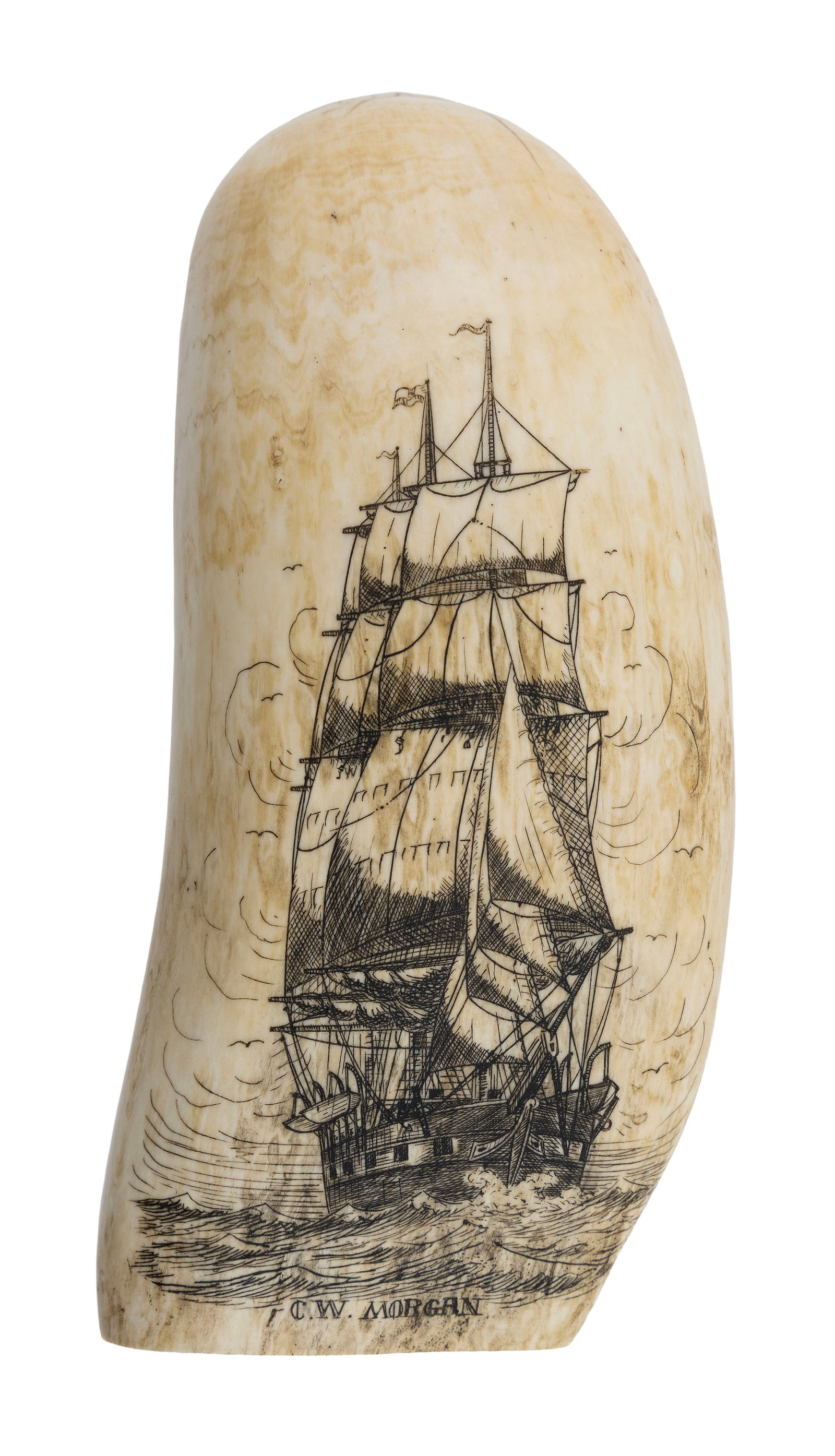 WILLIAM PERRY ENGRAVED WHALE'S TOOTH Early 20th Century Length 6.25". (1 of 1)