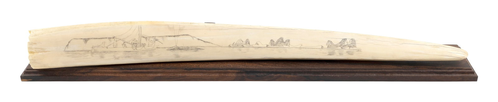 * LARGE ENGRAVED WALRUS TUSK 20th Century Length 30". With walnut base.: * LARGE ENGRAVED WALRUS TUSK 20th Century Depicts a walrus hunting scene off St. Lawrence Island. * Per Federal Regulation, this item may only be purchased by a Massachusetts resident and will not be 