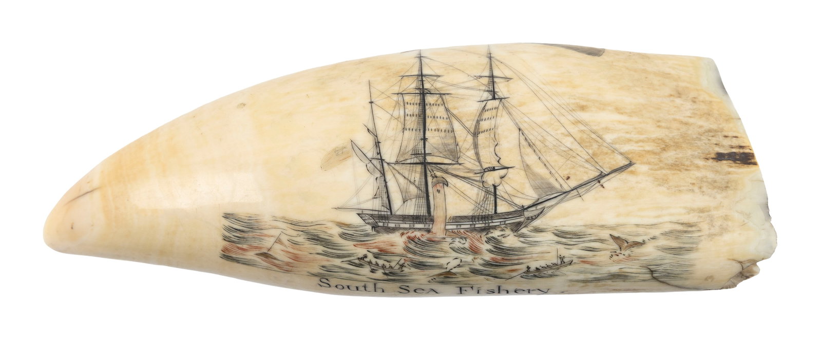 * FINE POLYCHROME ENGRAVED WHALE'S TOOTH "HOMEWARD BOUND SOUTH SEA FISHERY" 20th Century Length (1 of 3)