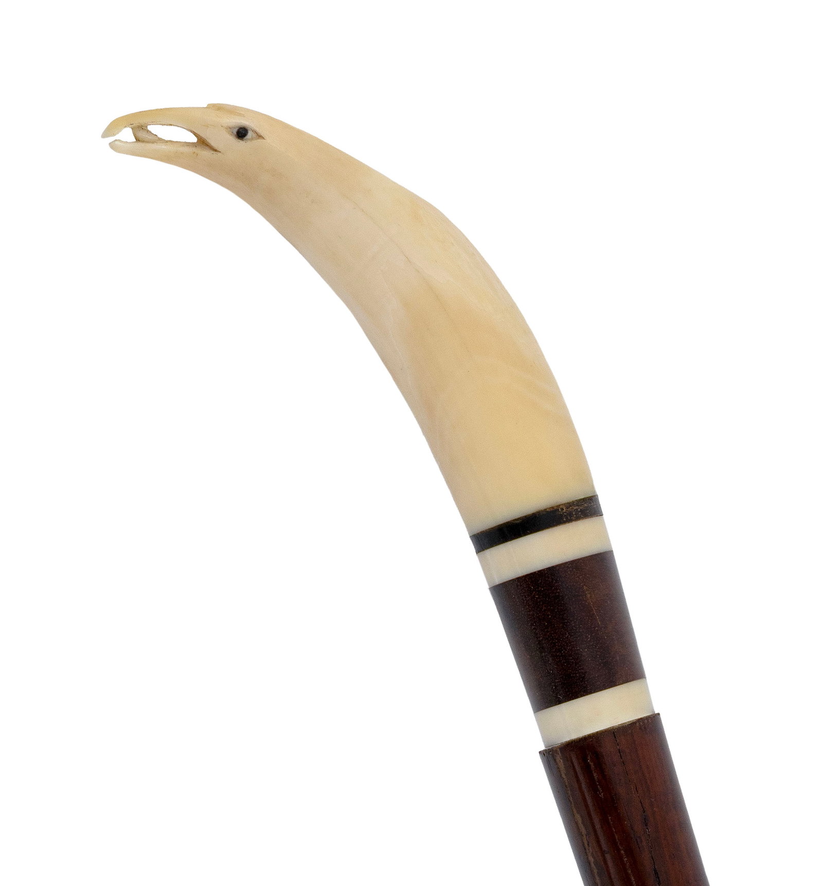 EAGLE'S HEAD CANE 19th Century Length 37.75".: EAGLE'S HEAD CANE 19th Century Handle carved from a small whale's tooth into the form of an eagle's head with open beak, showing its tongue, and inset eyes. Hardwood shaft with two whale ivory bands a