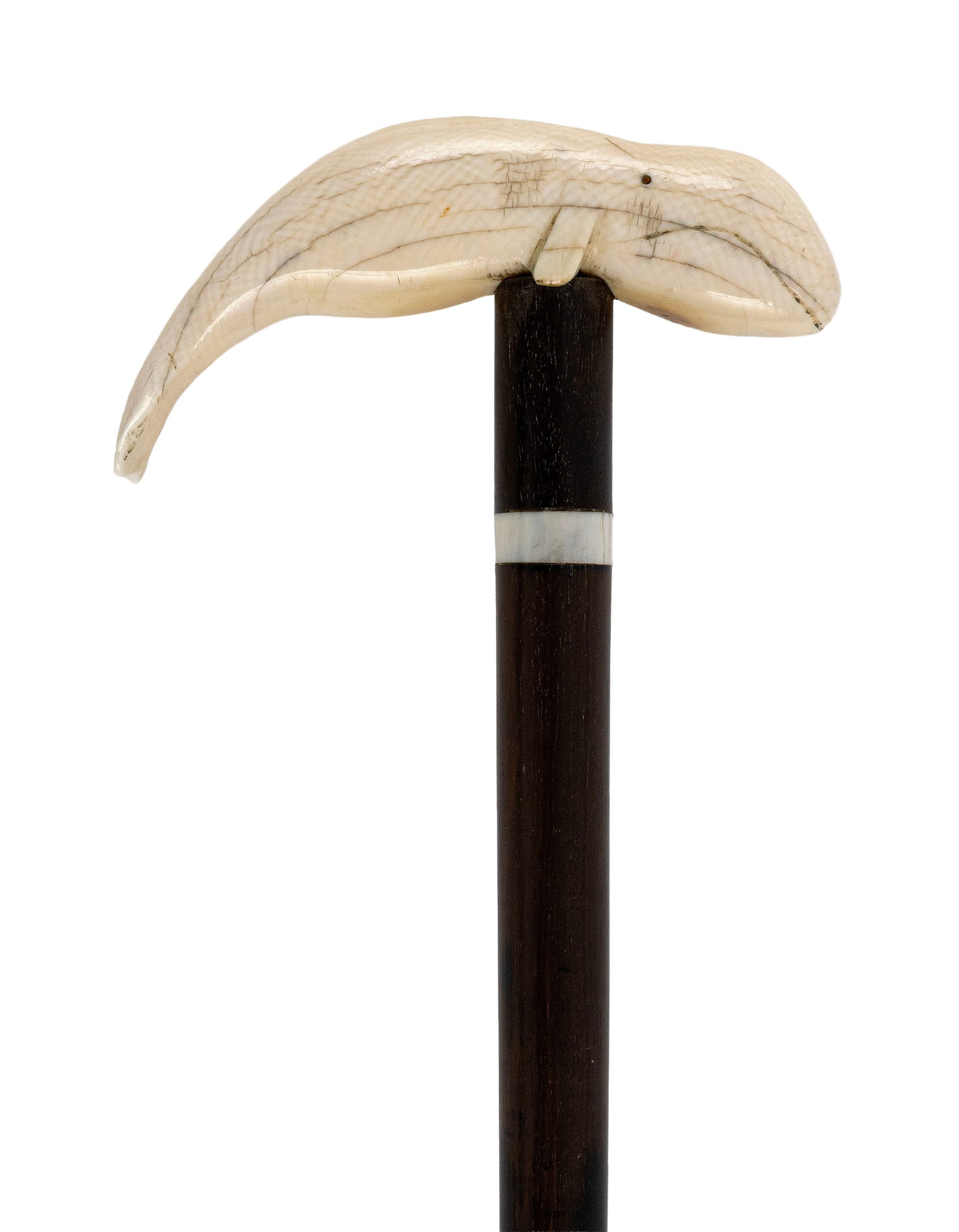 CANE WITH CARVED IVORY WHALE-FORM HANDLE 19th Century Length 34.75". (1 of 2)