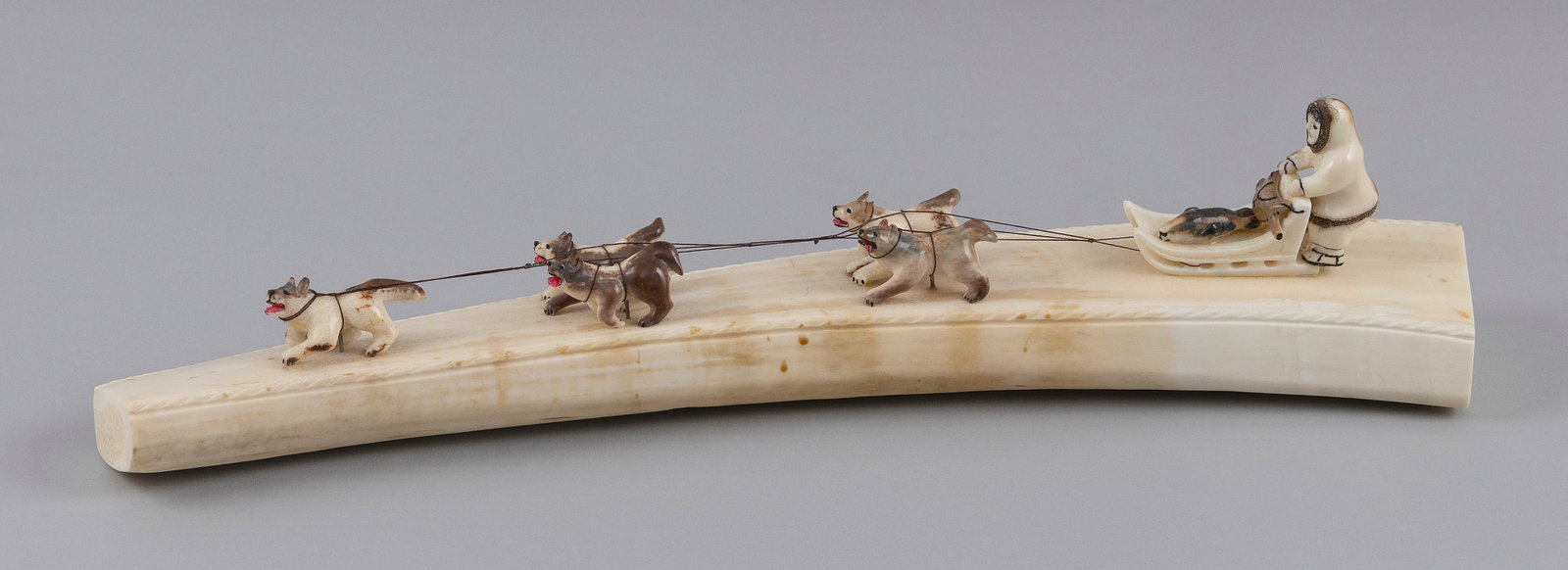 ESKIMO WALRUS IVORY CARVING First Half of the 20th Century Height 4". Length 18.5". (1 of 1)