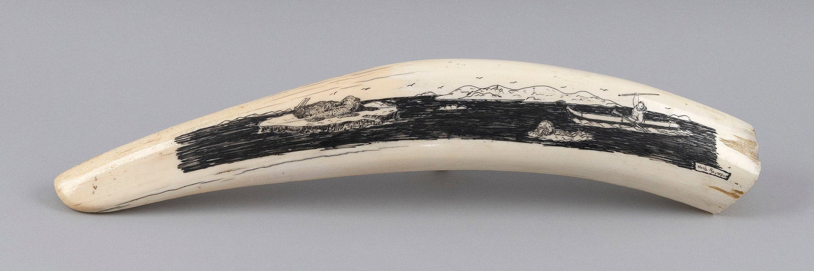 HERB NAYOKPUK ENGRAVED WALRUS TUSK Alaska, 20th Century Length 19". (1 of 1)