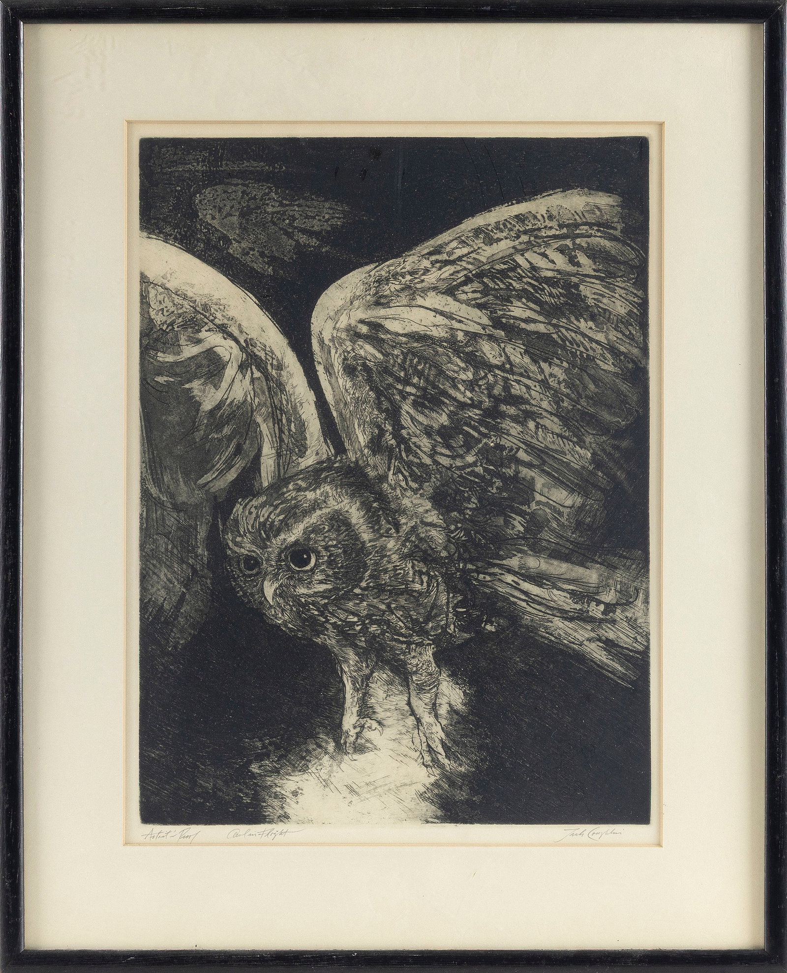 JACK COUGHLIN (Massachusetts/Connecticut, 1932-), "Owl in Flight", Etching, 15" x 11" sight. Framed (1 of 2)