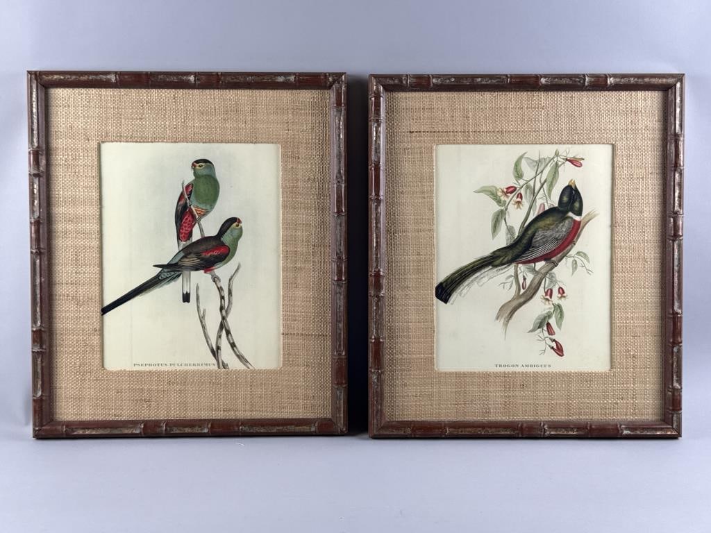 TWO ORNITHOLOGICAL PRINTS AFTER JOHN GOULD Color lithographs, 14" x 10" sight. Framed 22" x 19". (1 of 4)
