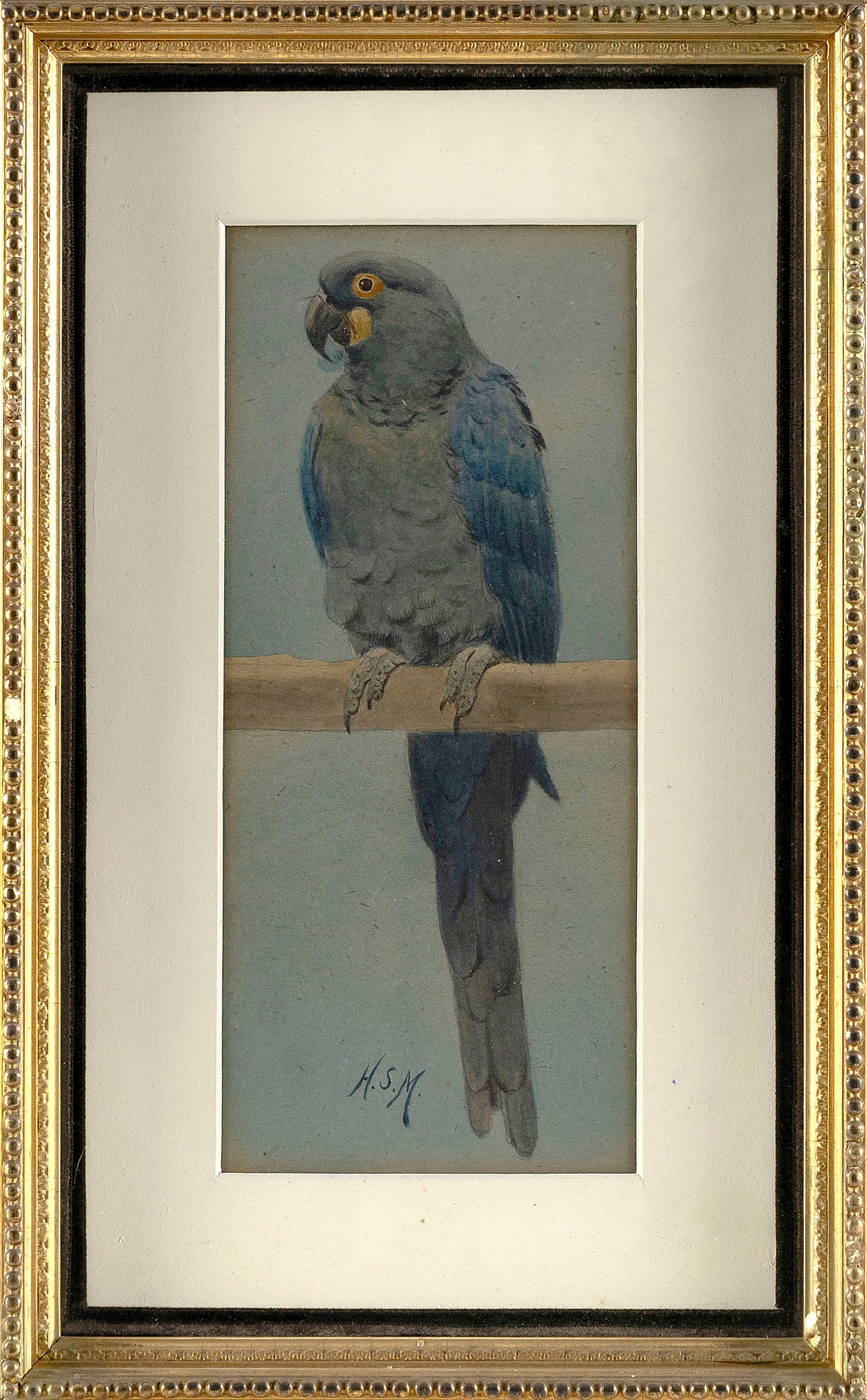 HENRY STACY MARKS (United Kingdon, 1829-1898), Macaw on a perch., Watercolor on paper, 10" x 4": HENRY STACY MARKS United Kingdon, 1829-1898 Macaw on a perch. Initialed lower left "H.S.M.". Watercolor on paper, 10" x 4" sight. Framed 14.5" x 9".