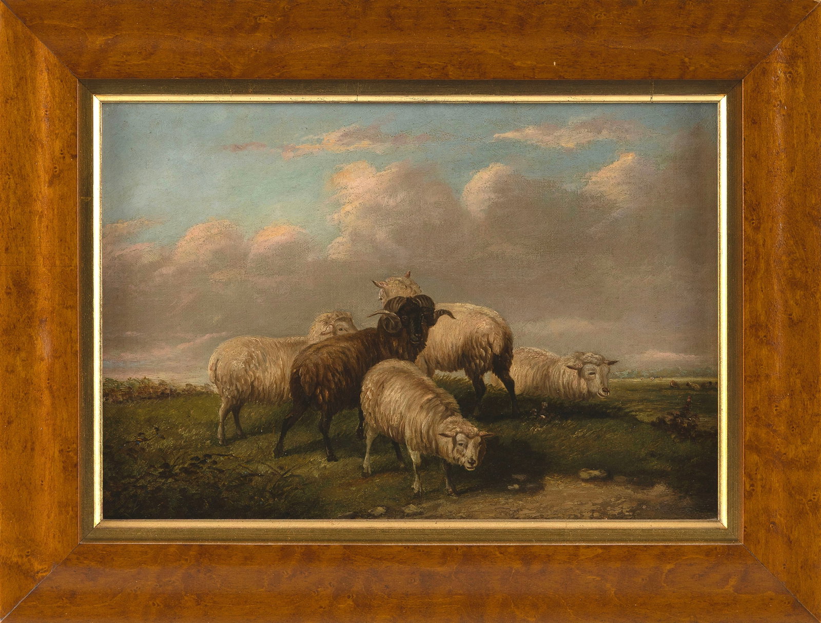 ENGLISH OR AMERICAN SCHOOL (19th Century,), Ram and sheep in a landscape., Oil on canvas, 10" x 14".: ENGLISH OR AMERICAN SCHOOL 19th Century Ram and sheep in a landscape. Unsigned. Oil on canvas, 10" x 14". Framed 13" x 17".