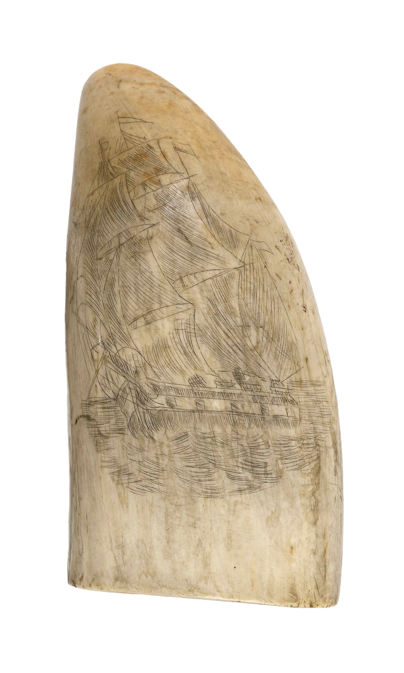 SCRIMSHAW WHALE'S TOOTH DEPICTING A SHIP Late 19th Century Length 4.75". (1 of 2)