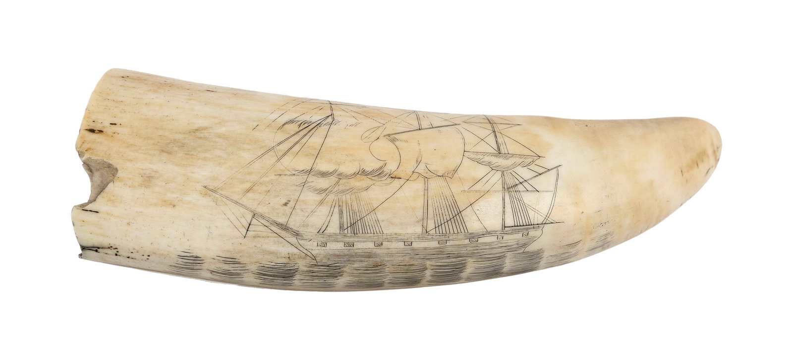 SCRIMSHAW WHALE'S TOOTH WITH SHIP PORTRAIT Mid-19th Century Length 5.5". (1 of 4)